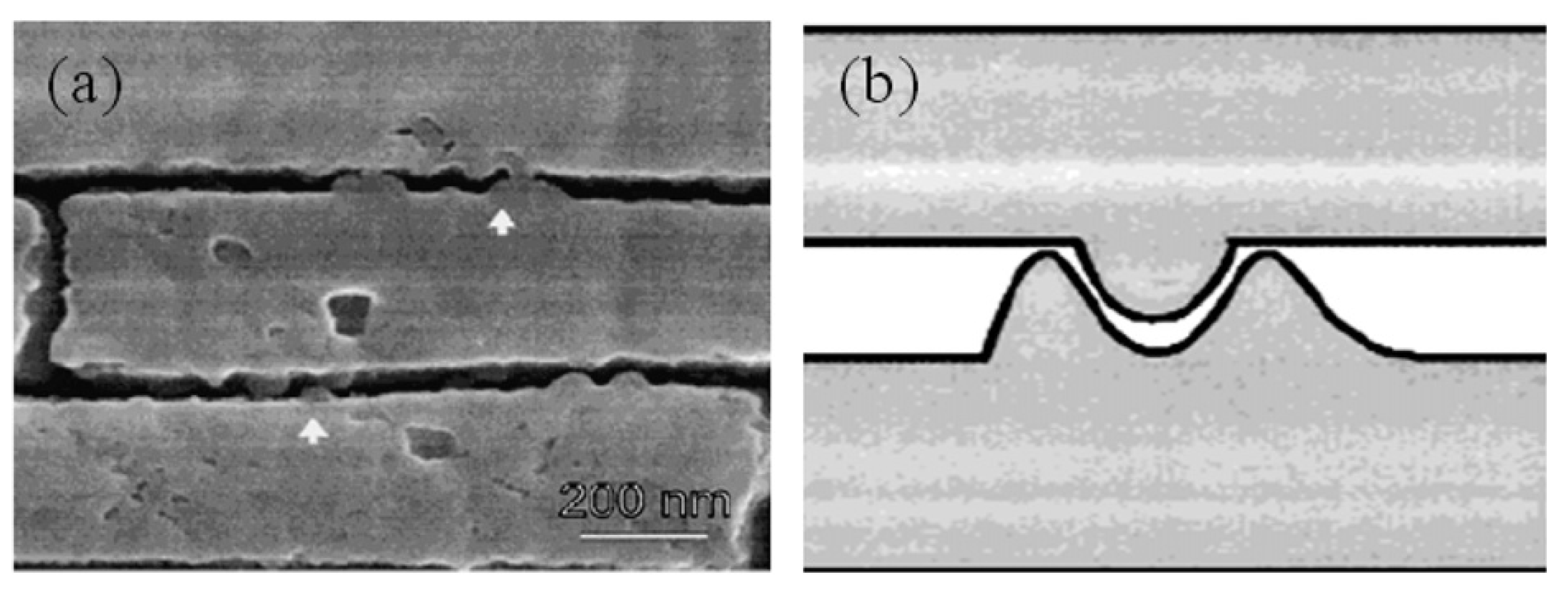 Processes 12 00066 g006