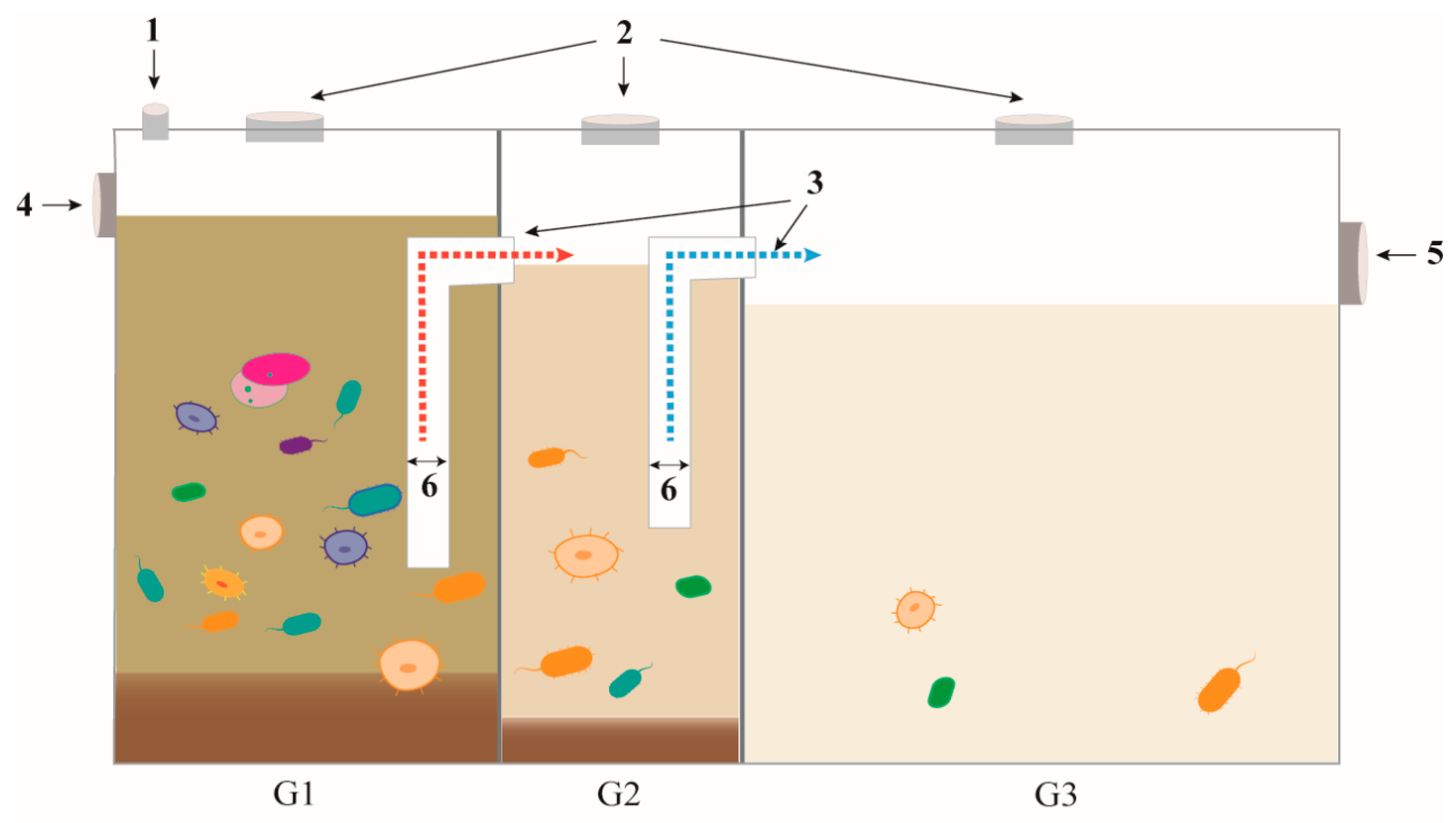 Investigation of the Mechanism for Removal of Typical