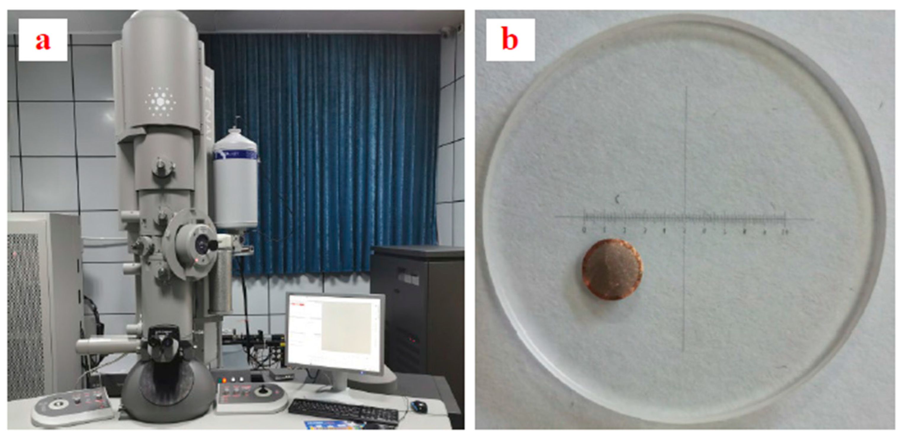 Processes 12 00094 g001