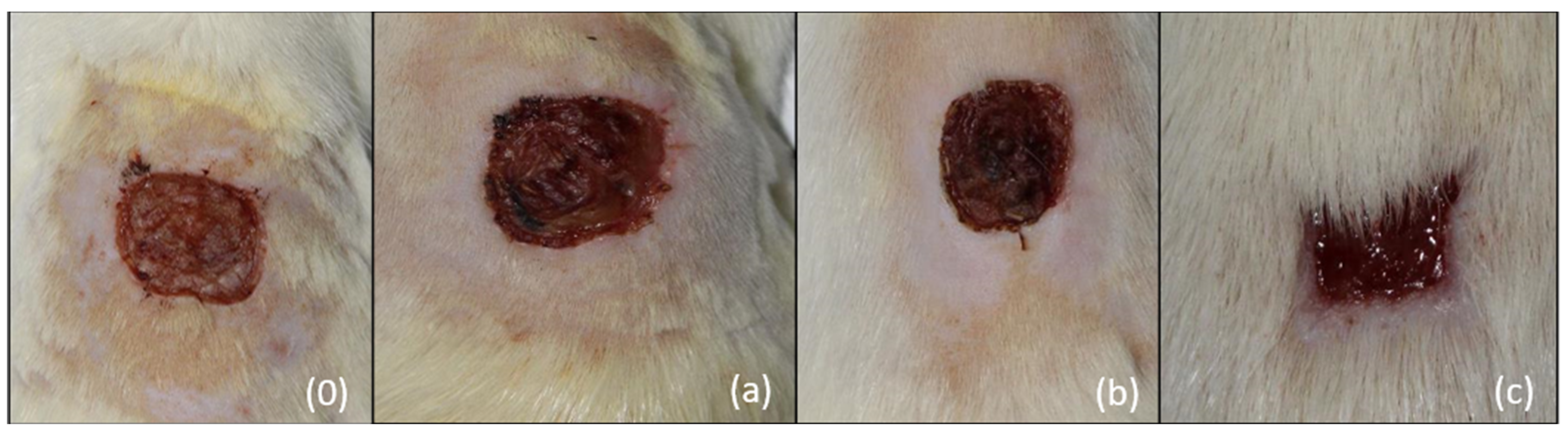 Processes 12 00109 g001 Processes 12 00109 g001