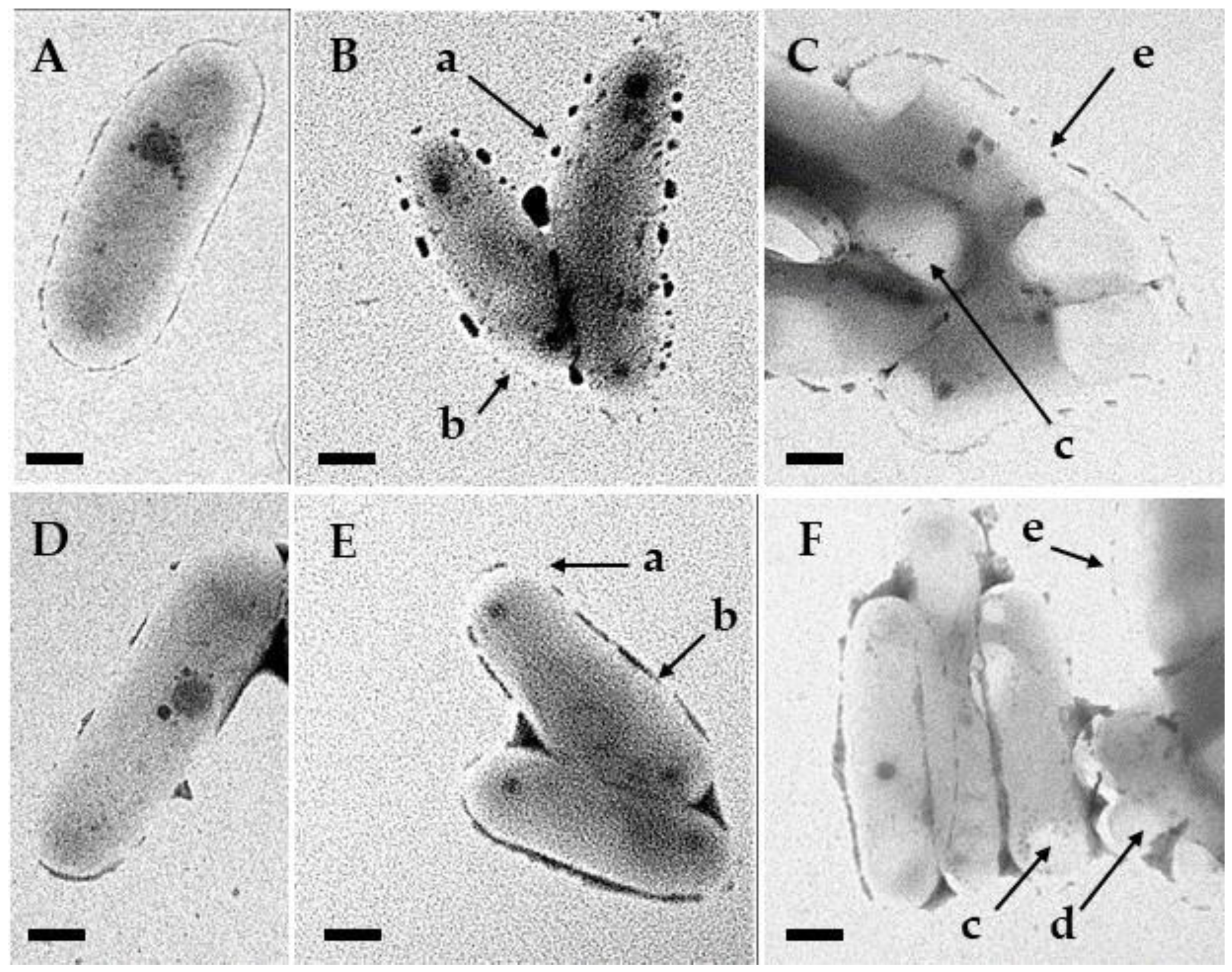 Processes 12 00111 g005