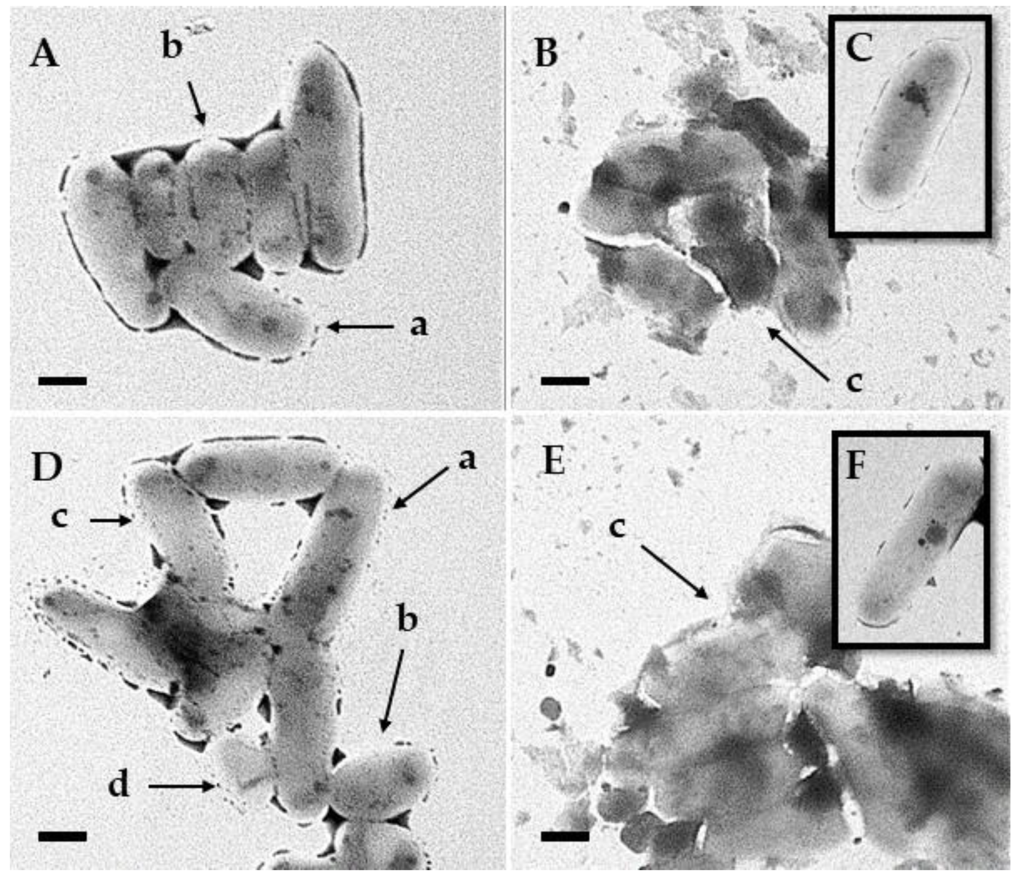 Processes 12 00111 g006