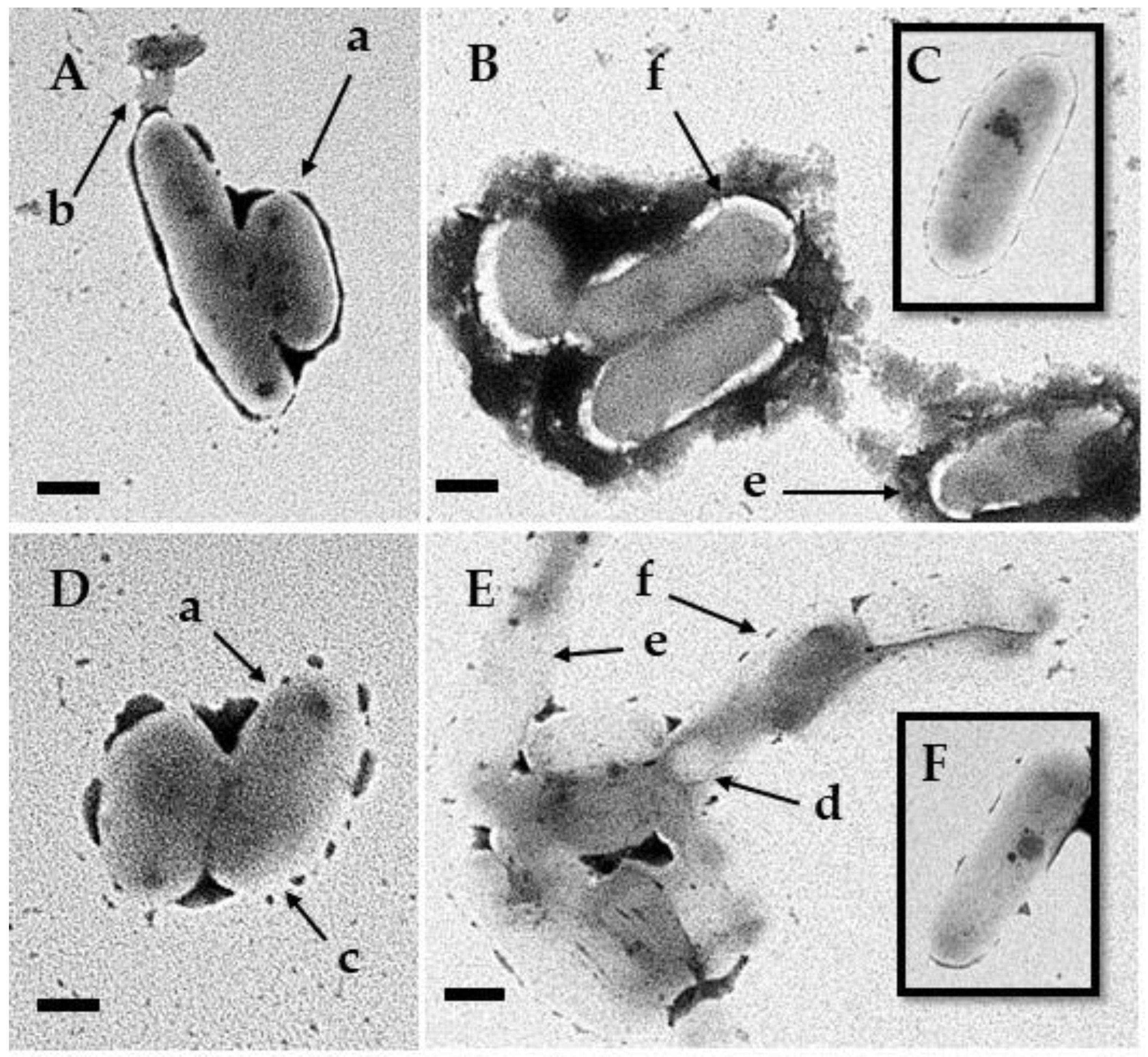 Processes 12 00111 g007
