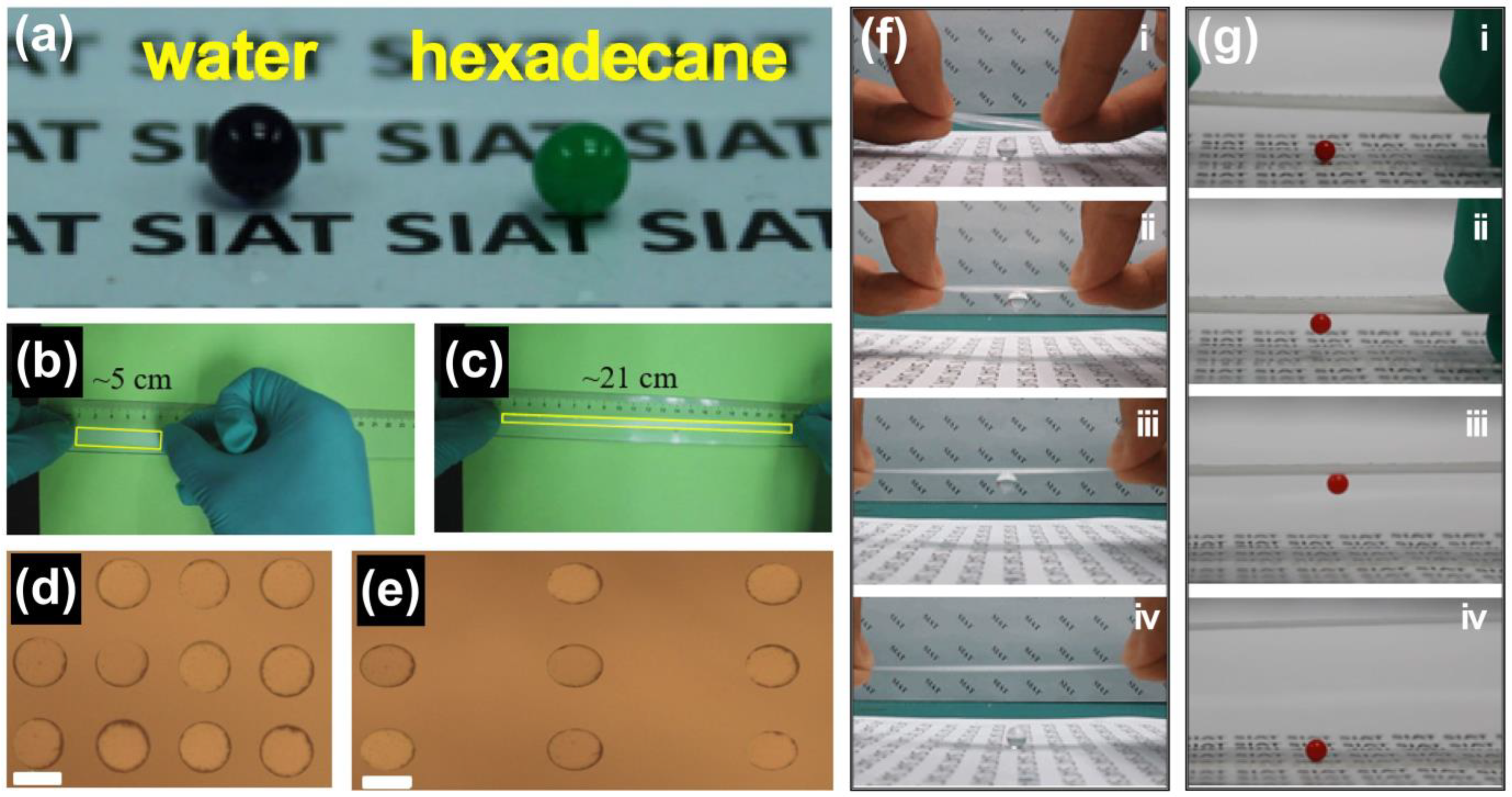 Processes 12 00124 g015