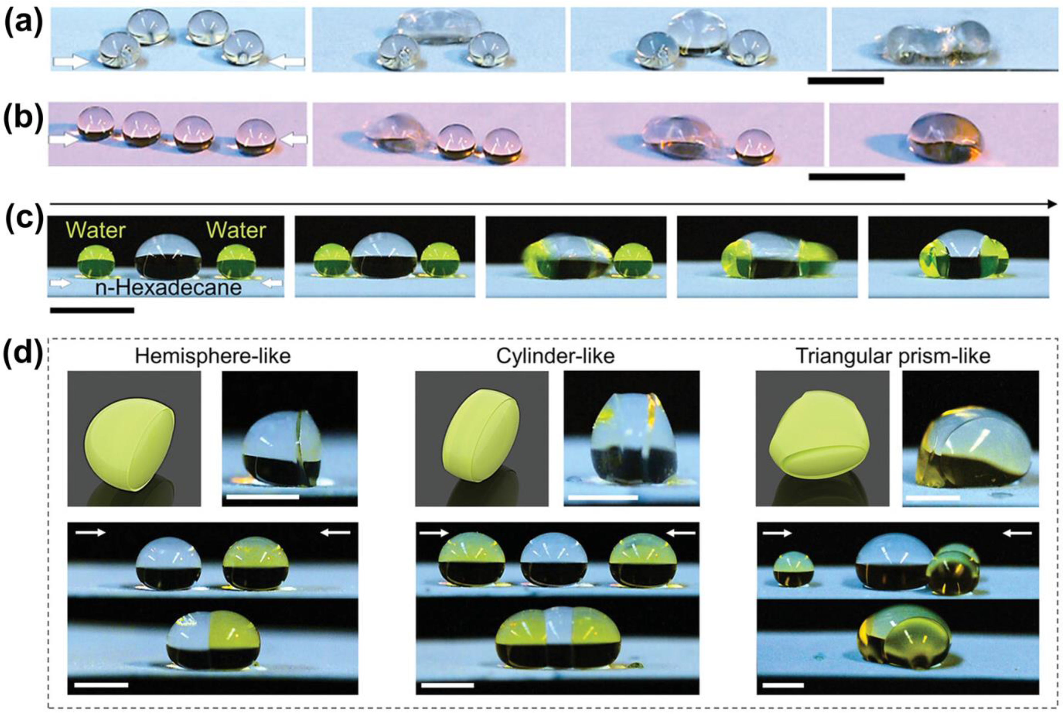 Processes 12 00124 g016