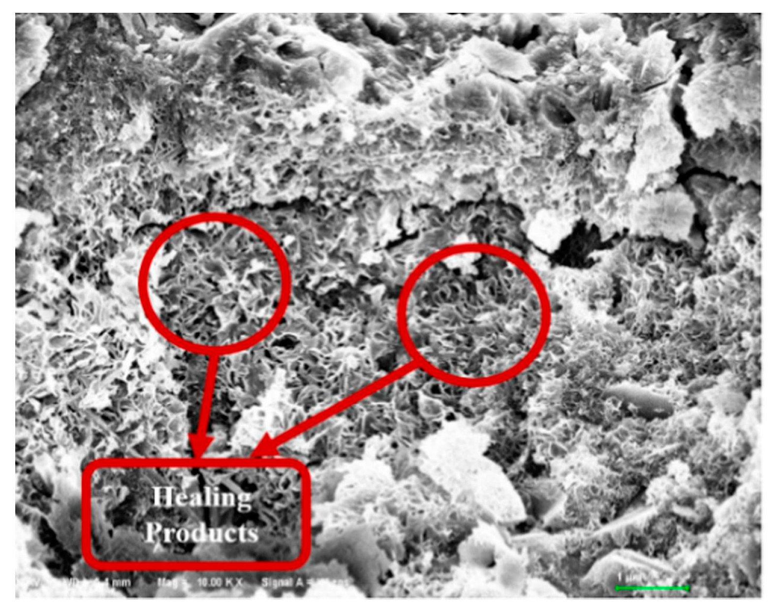 Processes 12 00128 g018