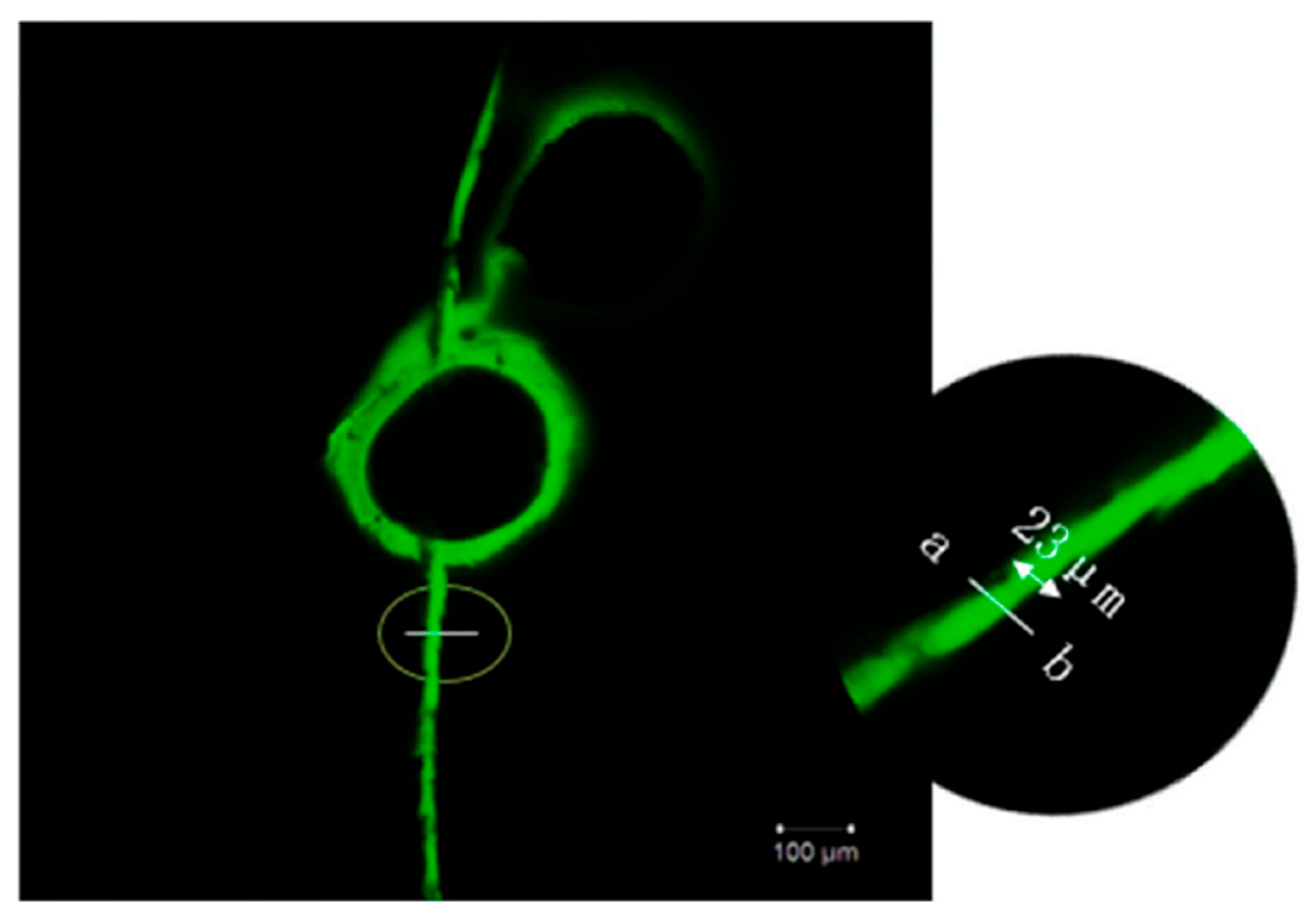 Processes 12 00128 g027