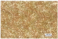 Processes 12 00153 i003