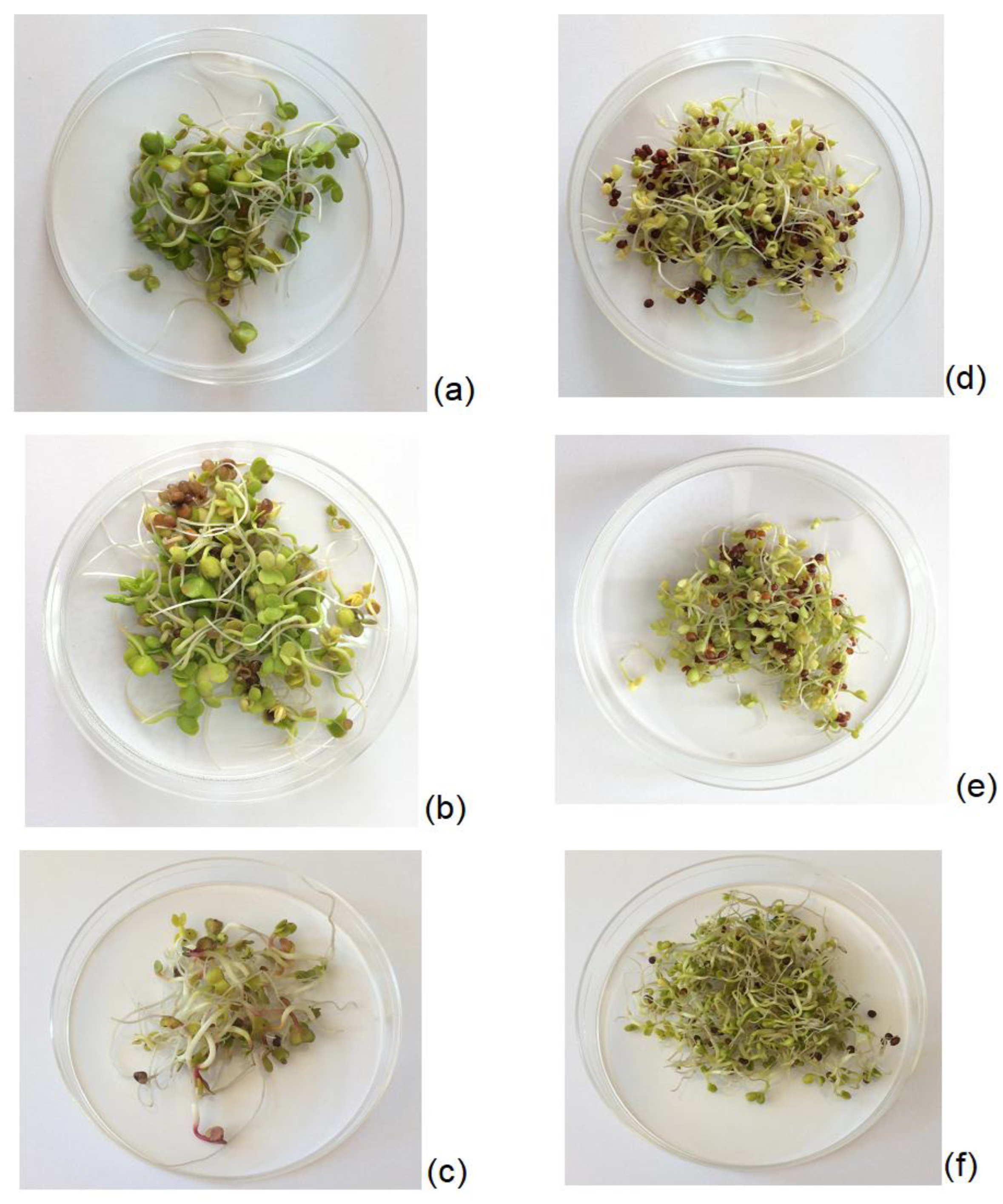 Processes 12 00174 g002 Processes 12 00174 g002