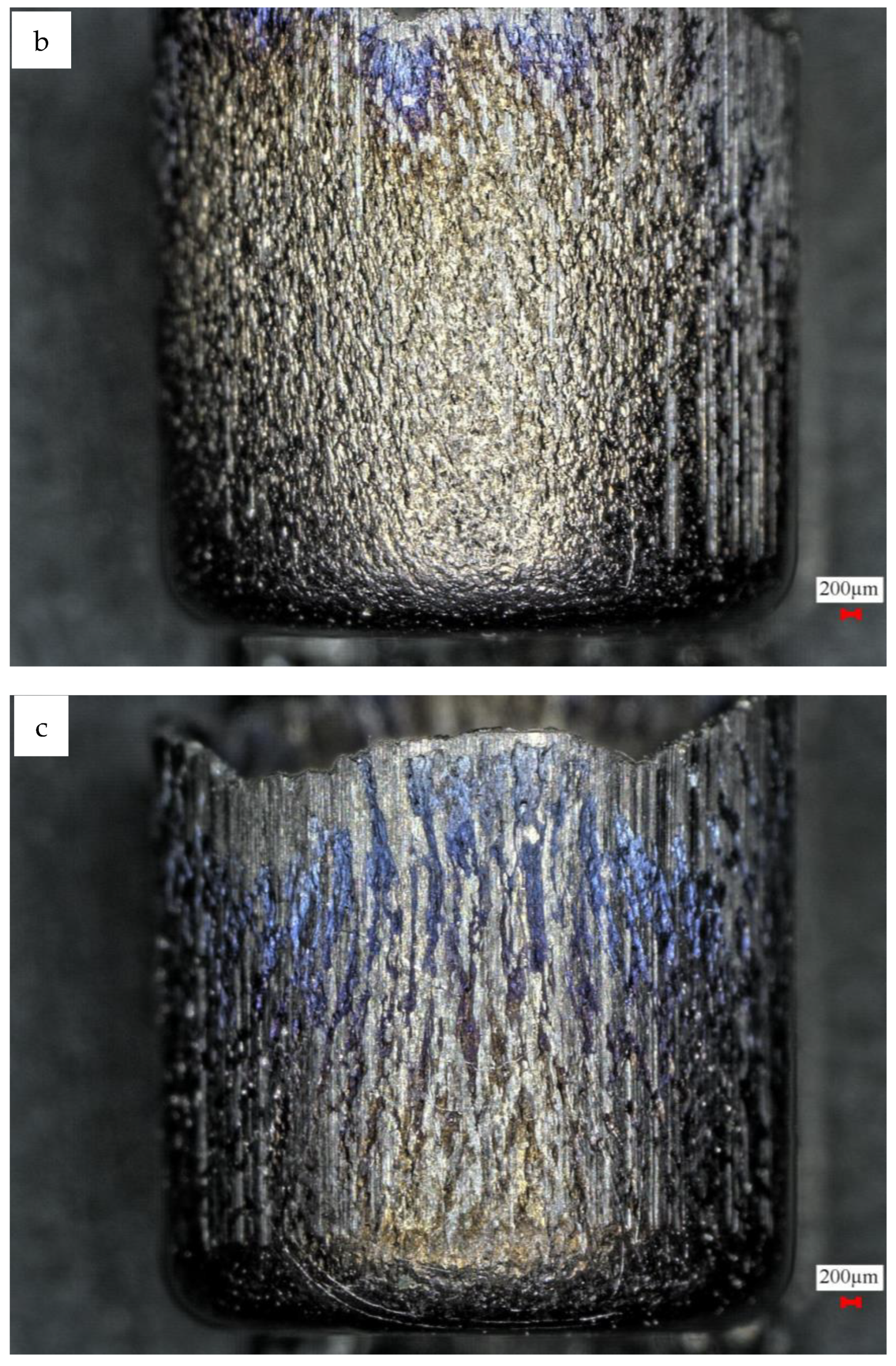 Processes 12 00210 g007b