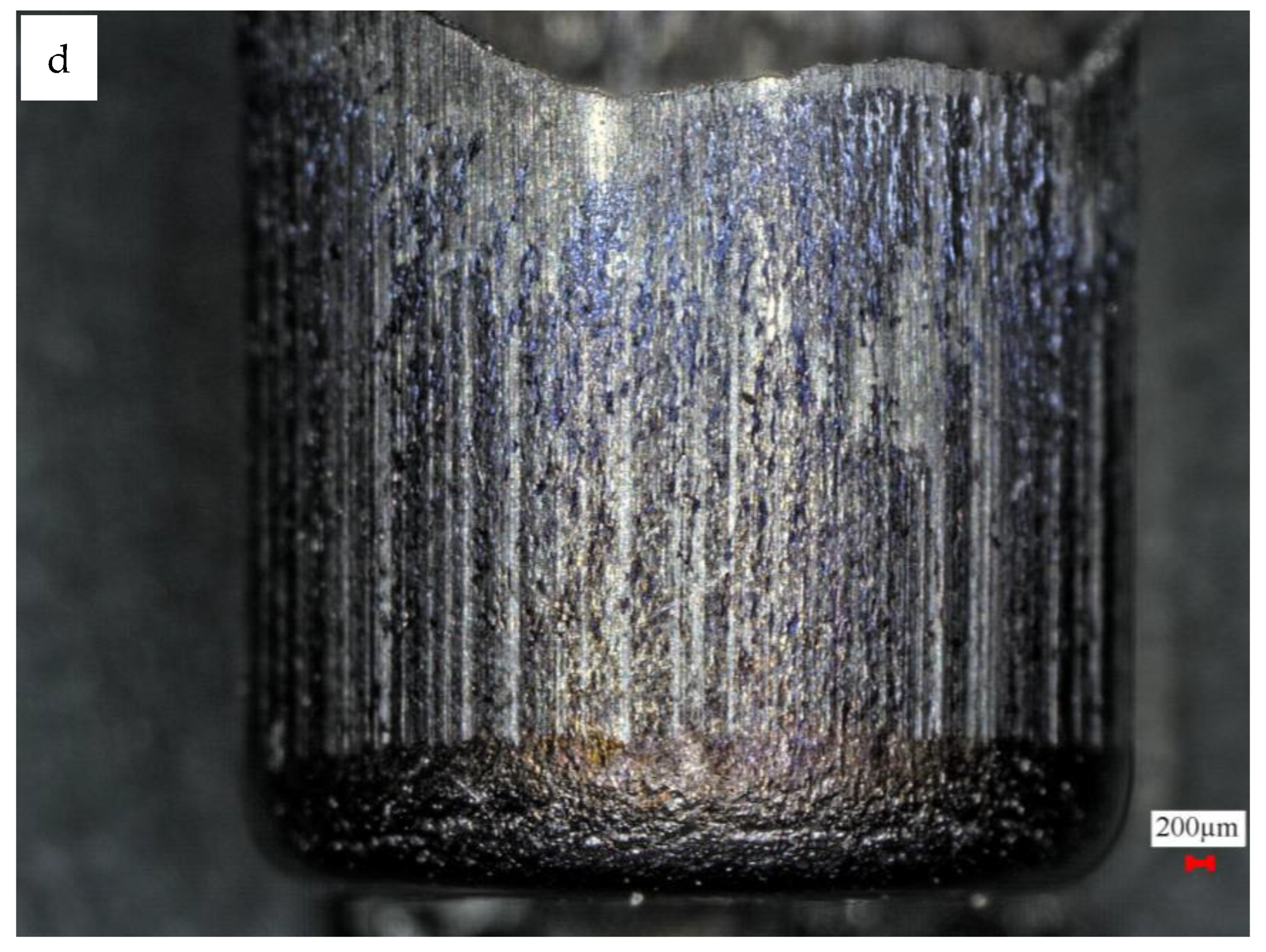 Processes 12 00210 g007c