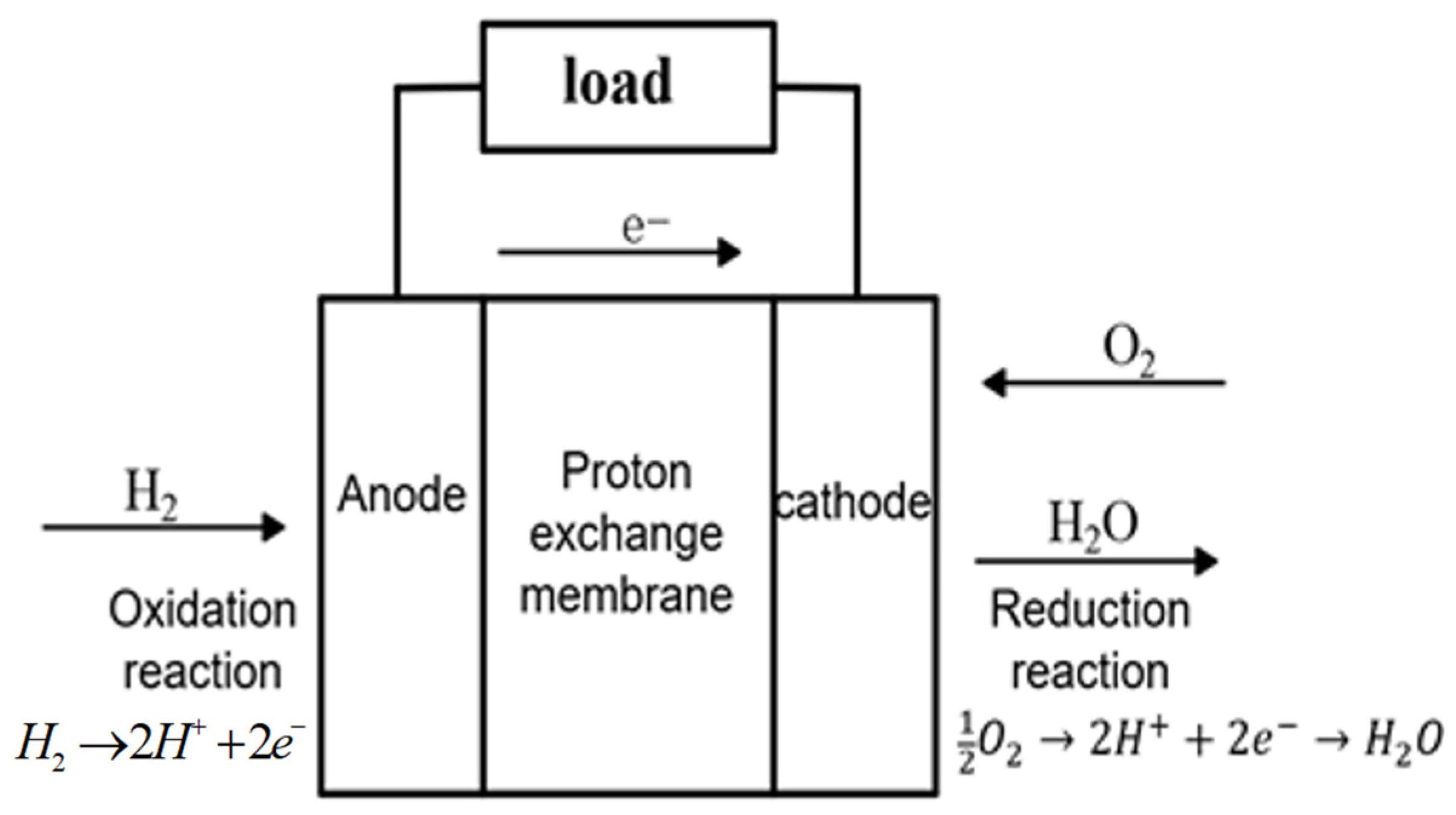 Processes 12 00249 g001