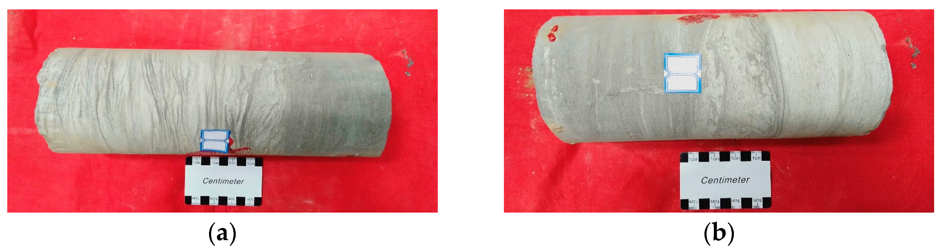 Processes 12 00278 g002