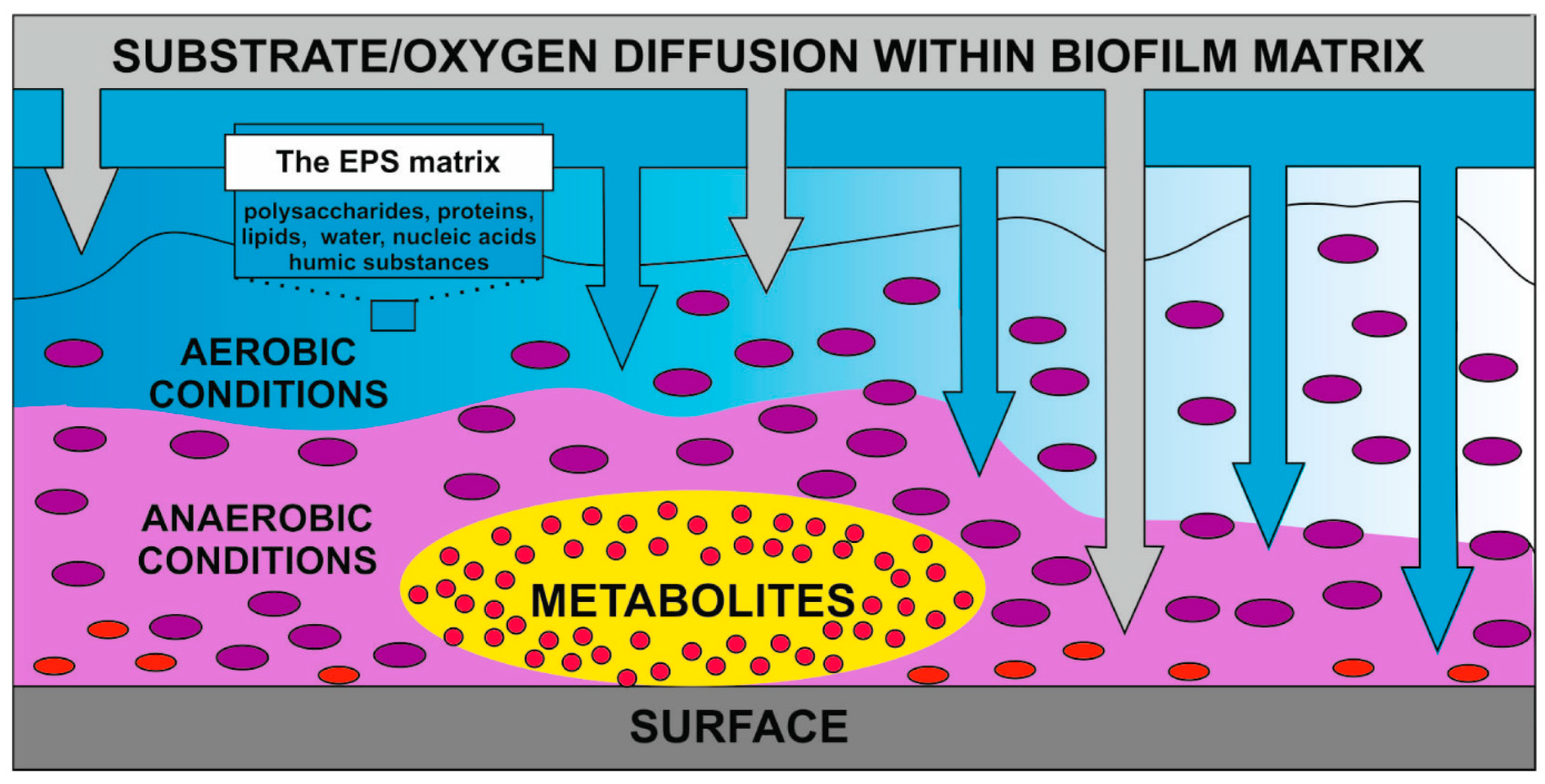 Processes 12 00280 g001