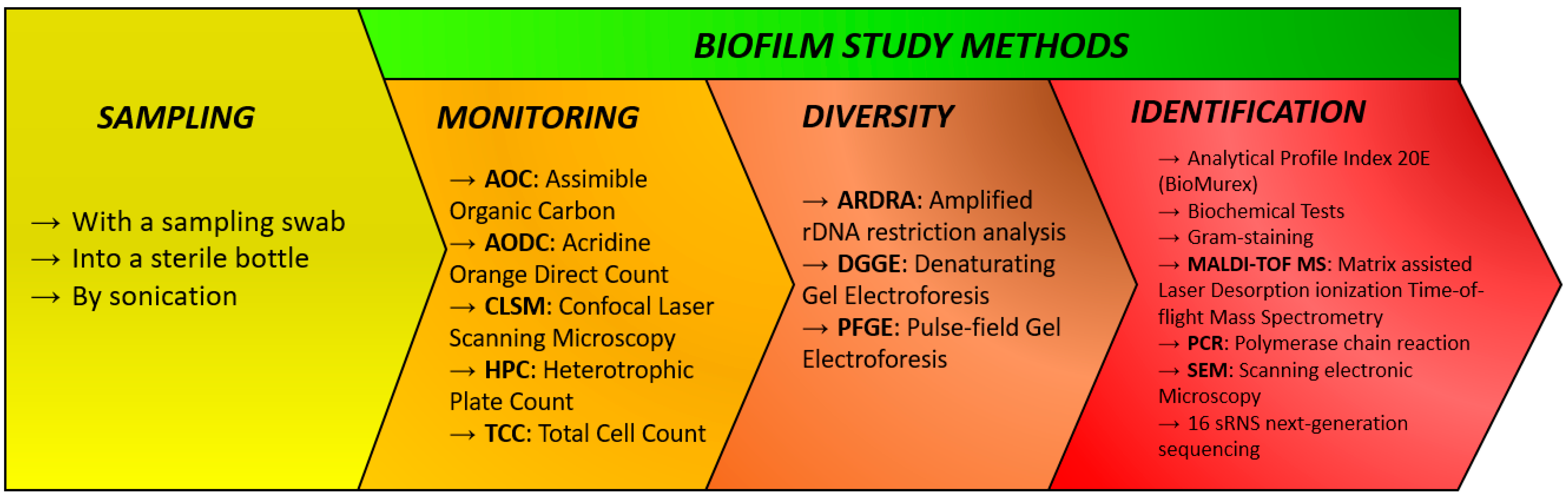 Processes 12 00280 g002