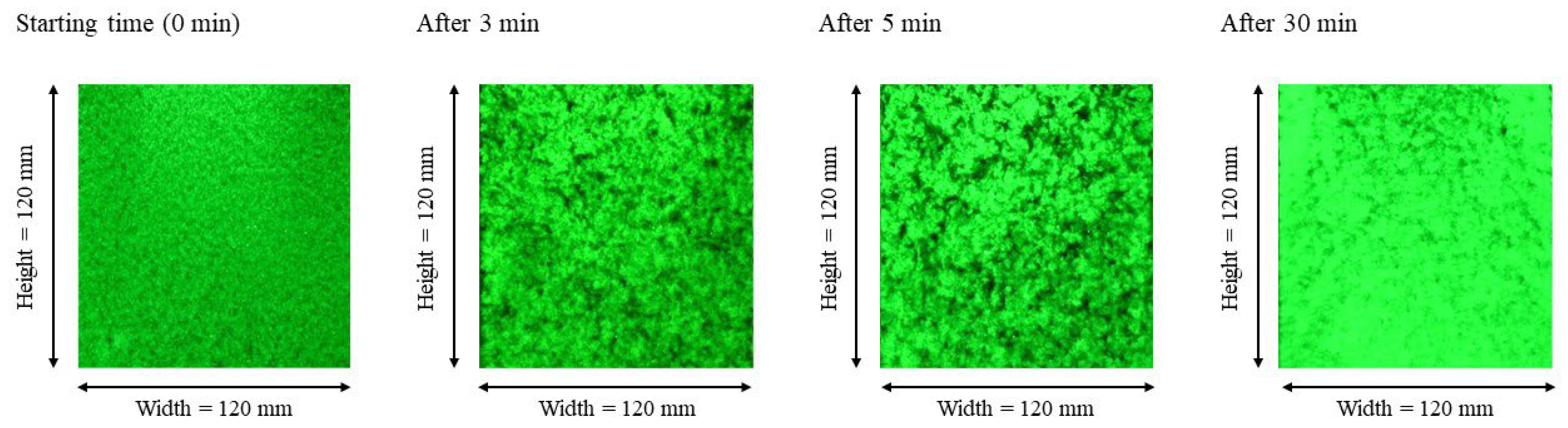 Processes 12 00295 g003