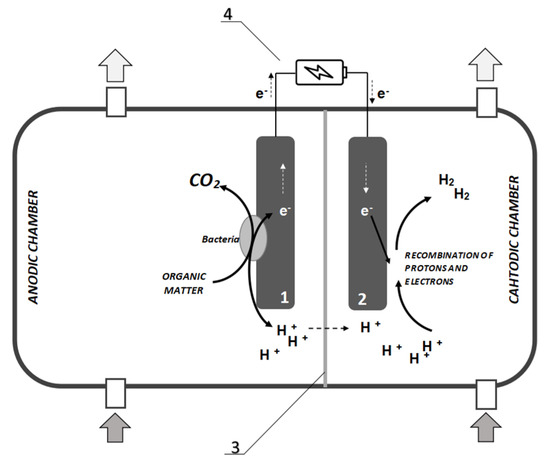 Microbial Electrolysis Cell Exergy Evaluation