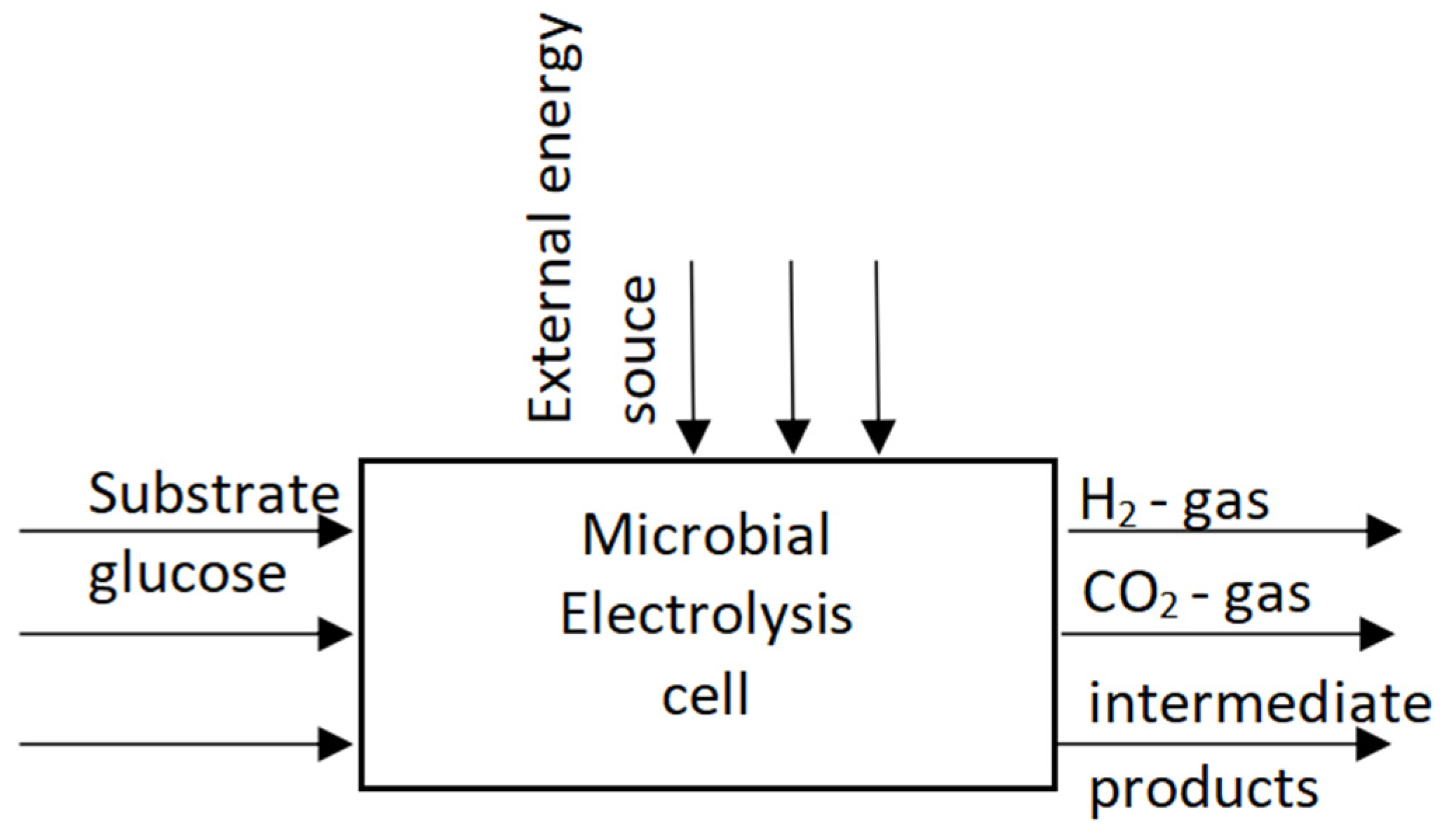 Processes 12 00319 g002