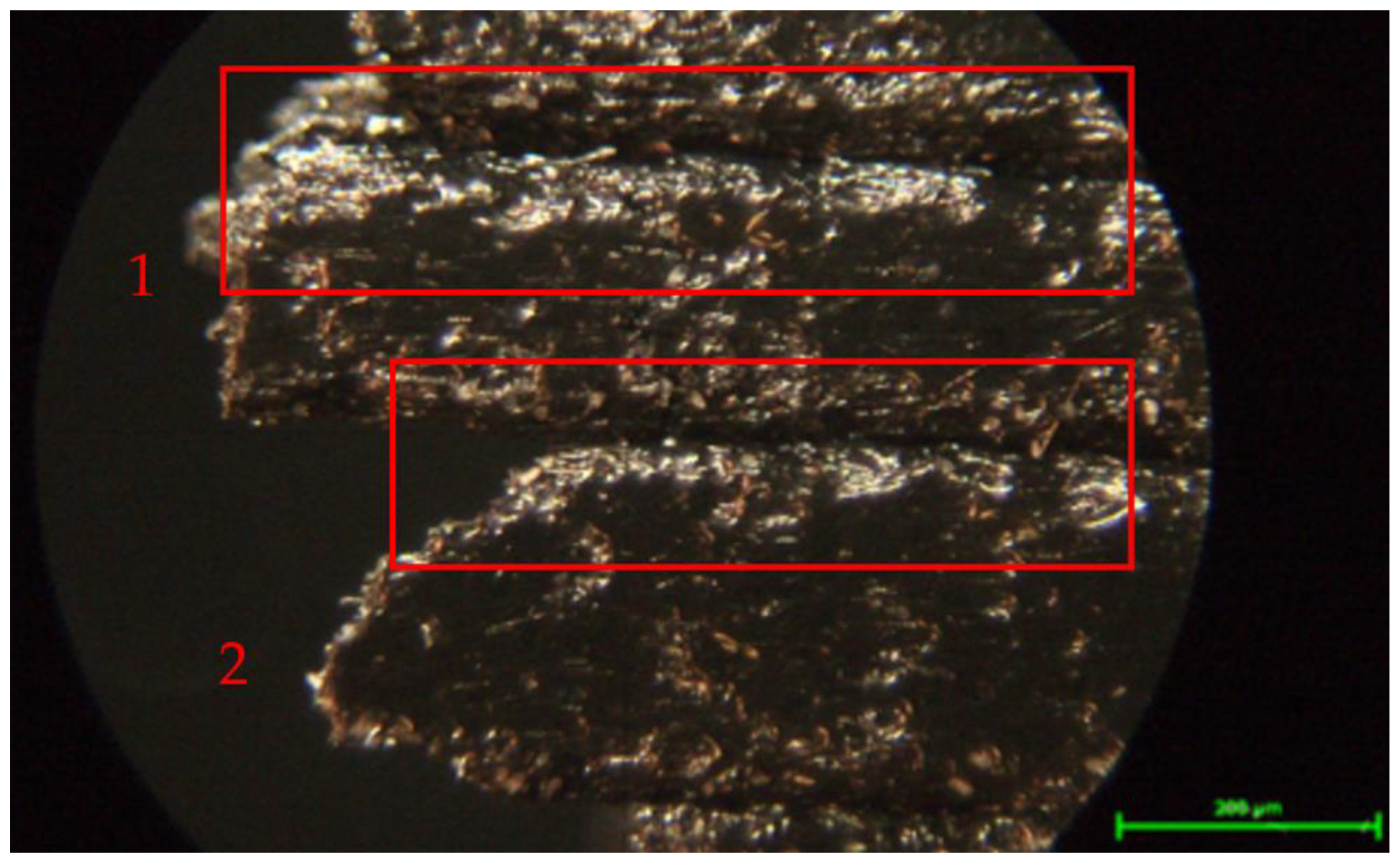 Processes 12 00334 g020