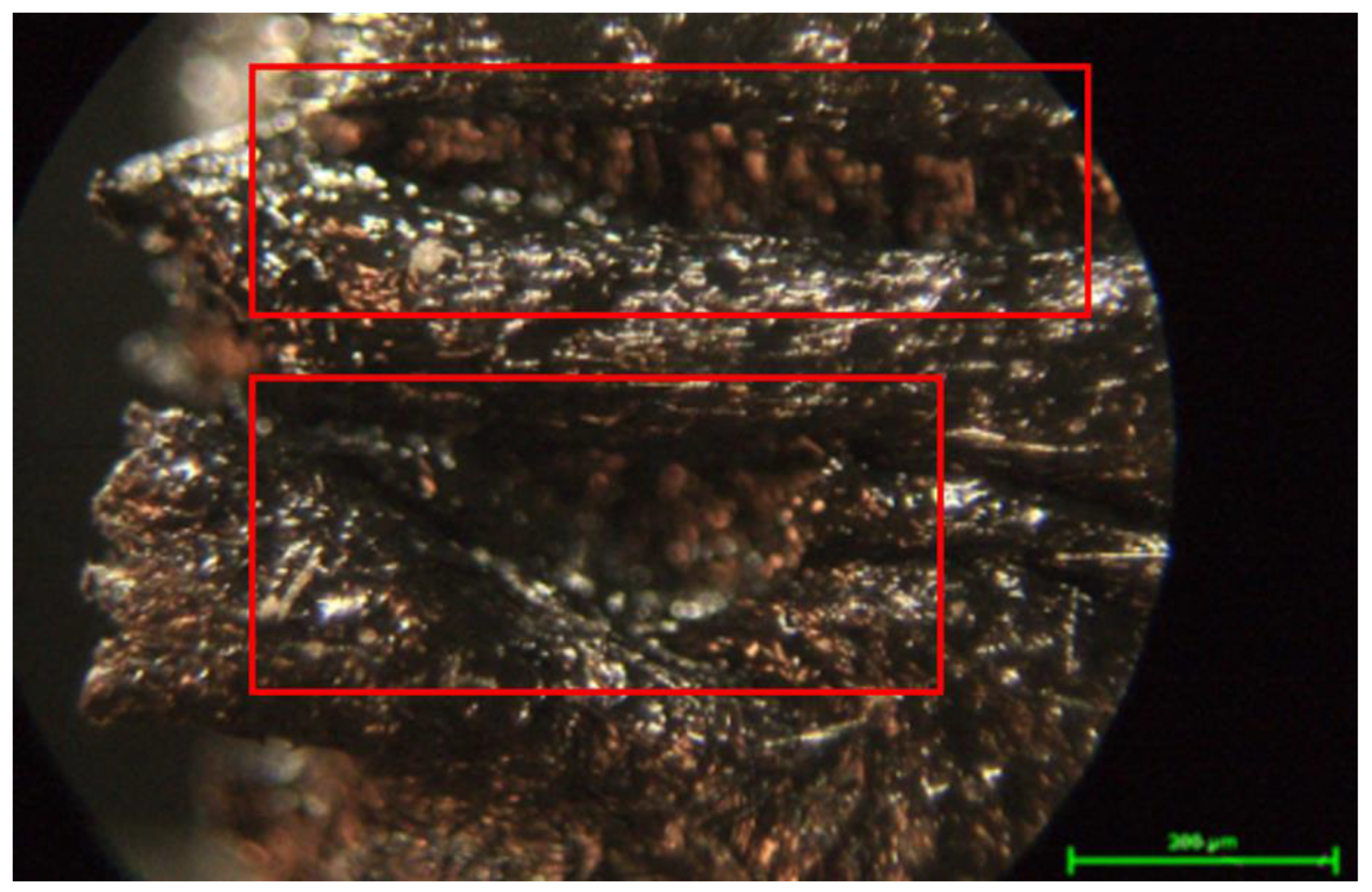 Processes 12 00334 g024