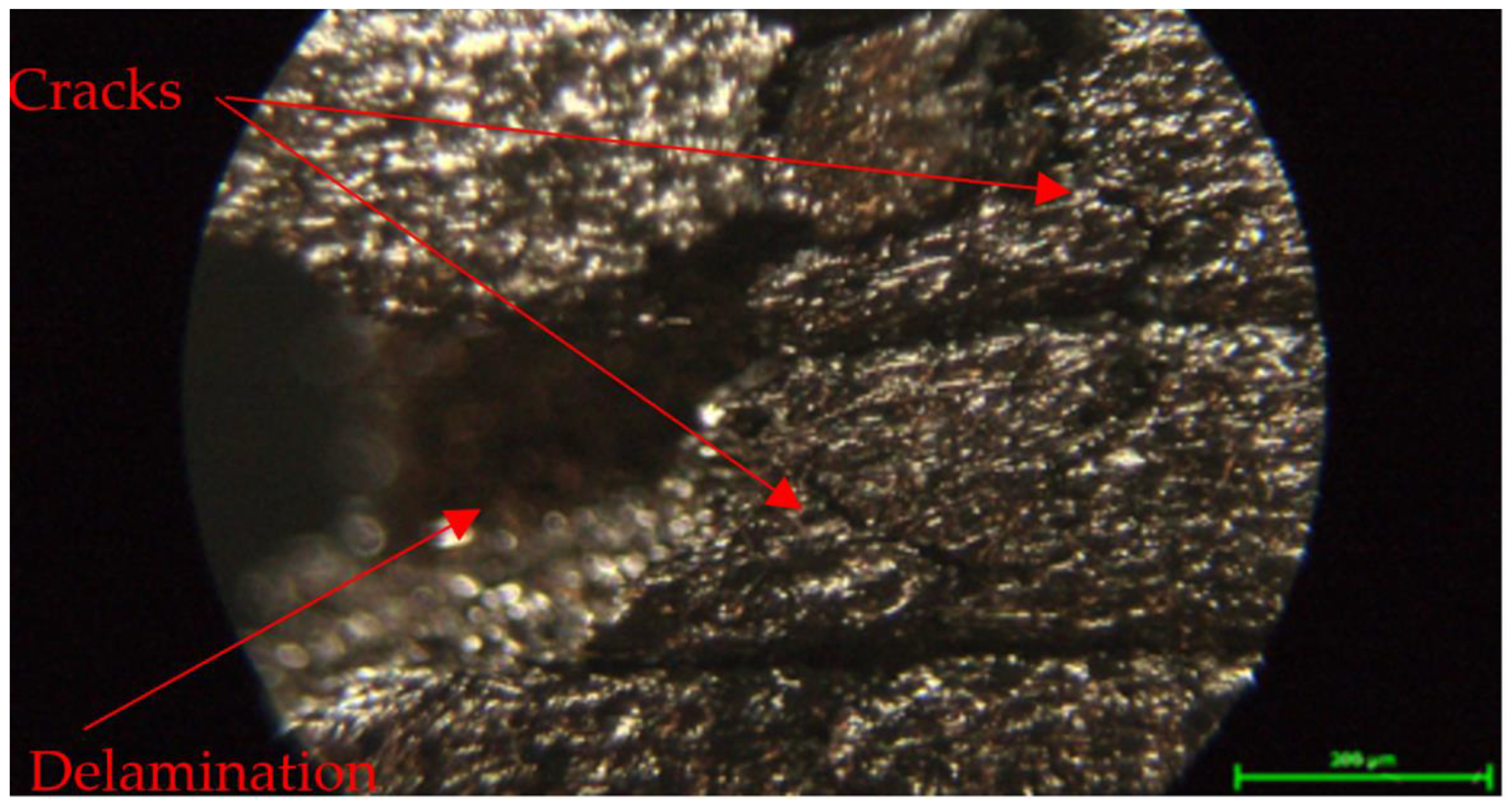 Processes 12 00334 g039