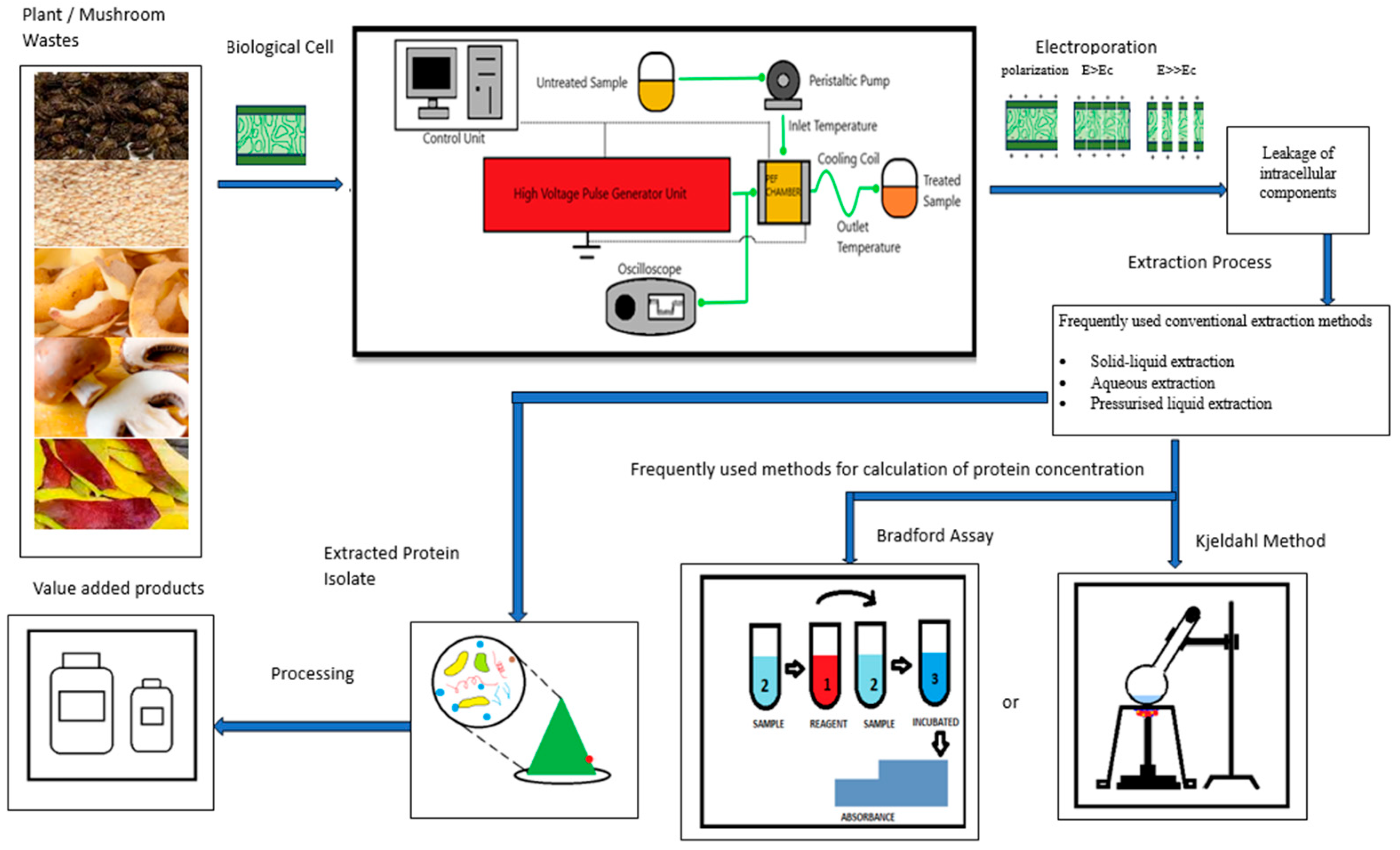 Processes 12 00342 g005