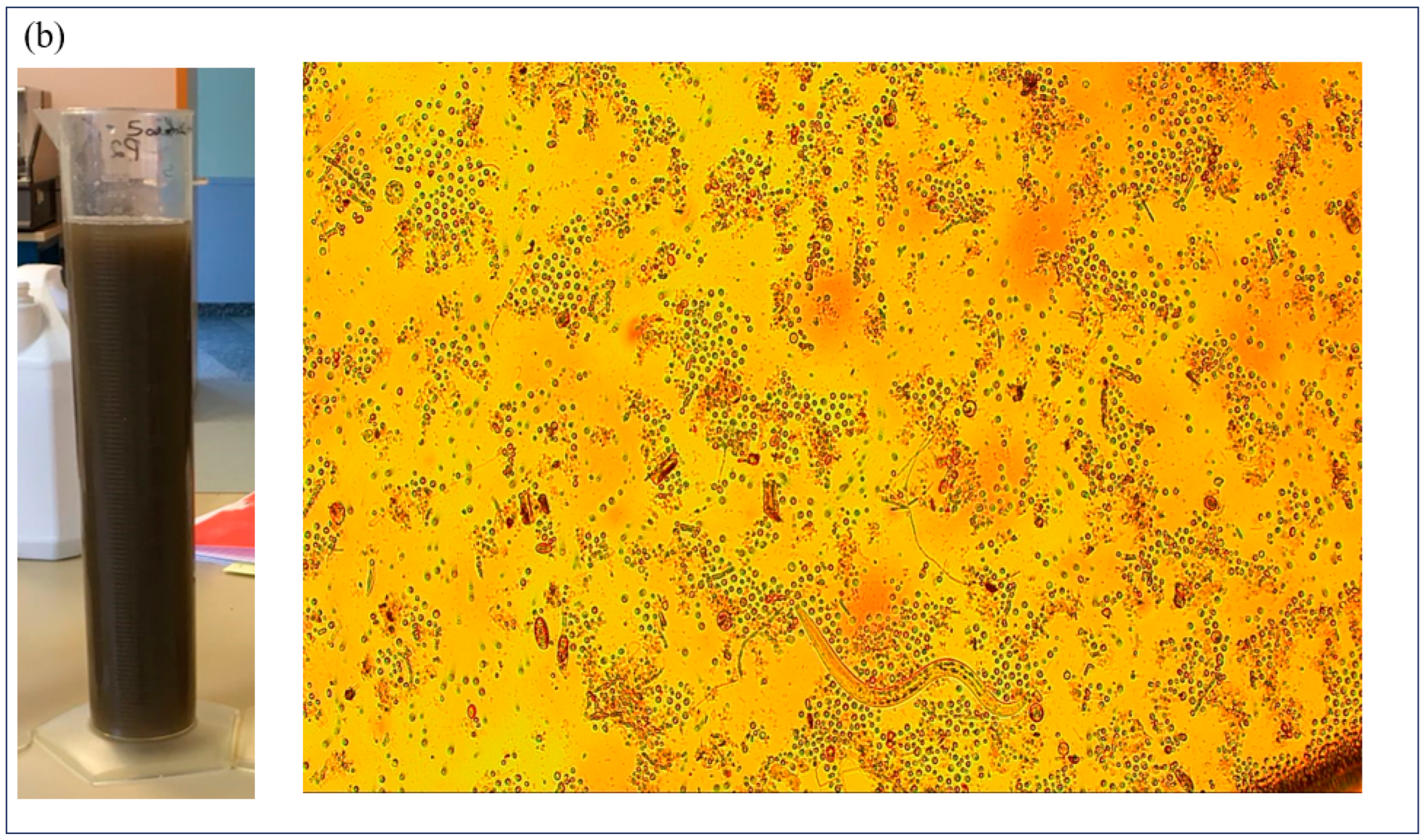 Processes 12 00350 g003b