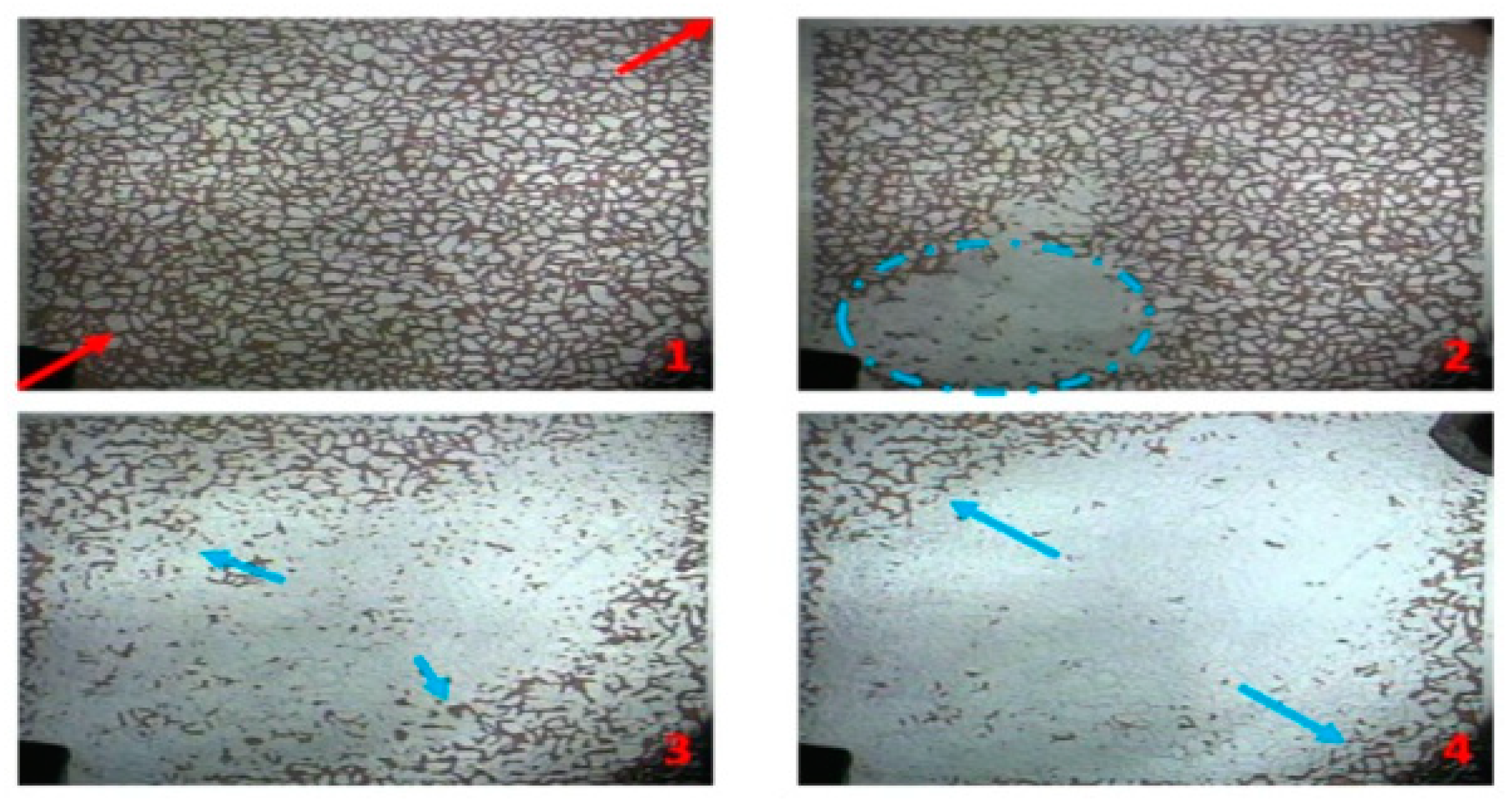 Processes 12 00351 g012