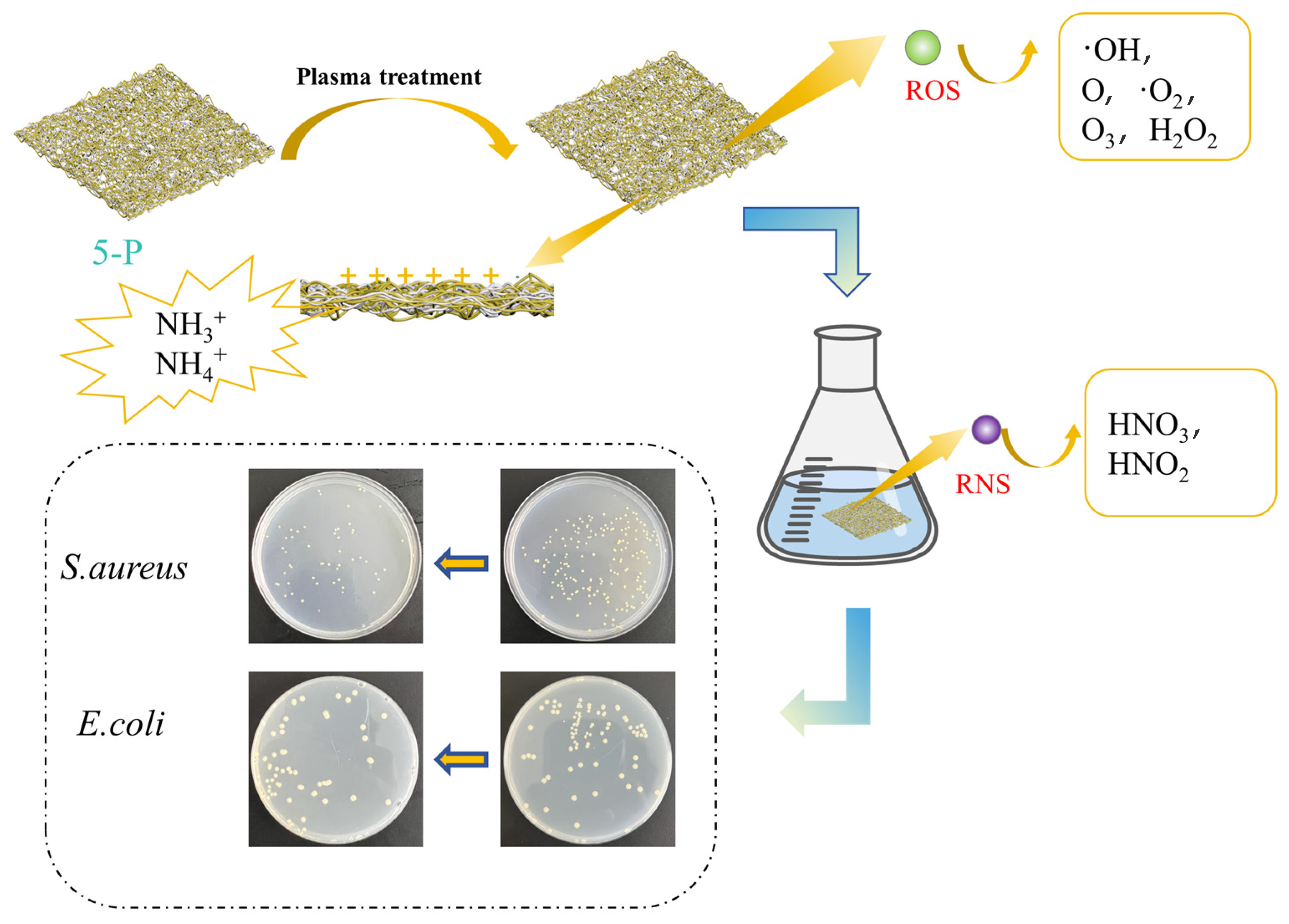 Processes 12 00354 g010
