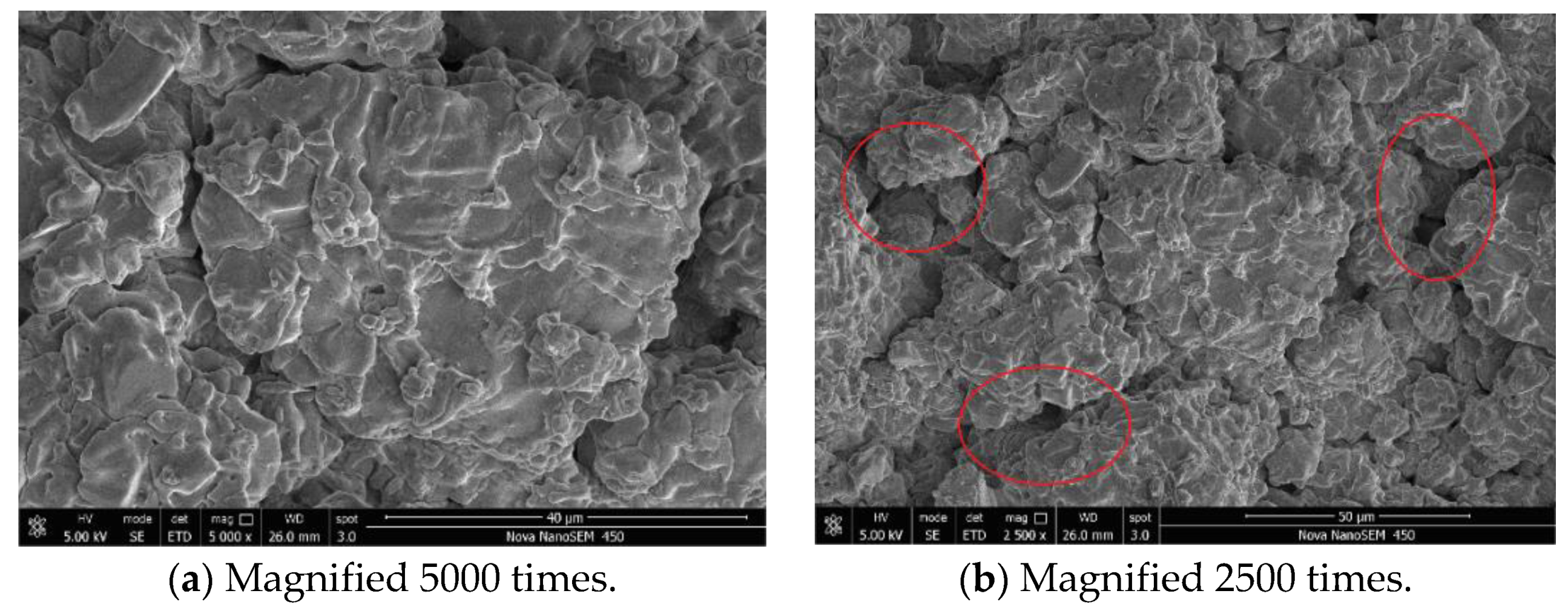 Processes 12 00360 g009