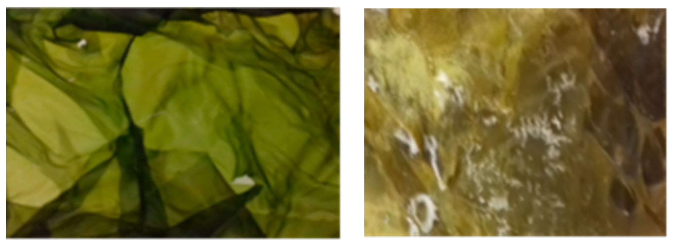 Processes 12 00373 g001