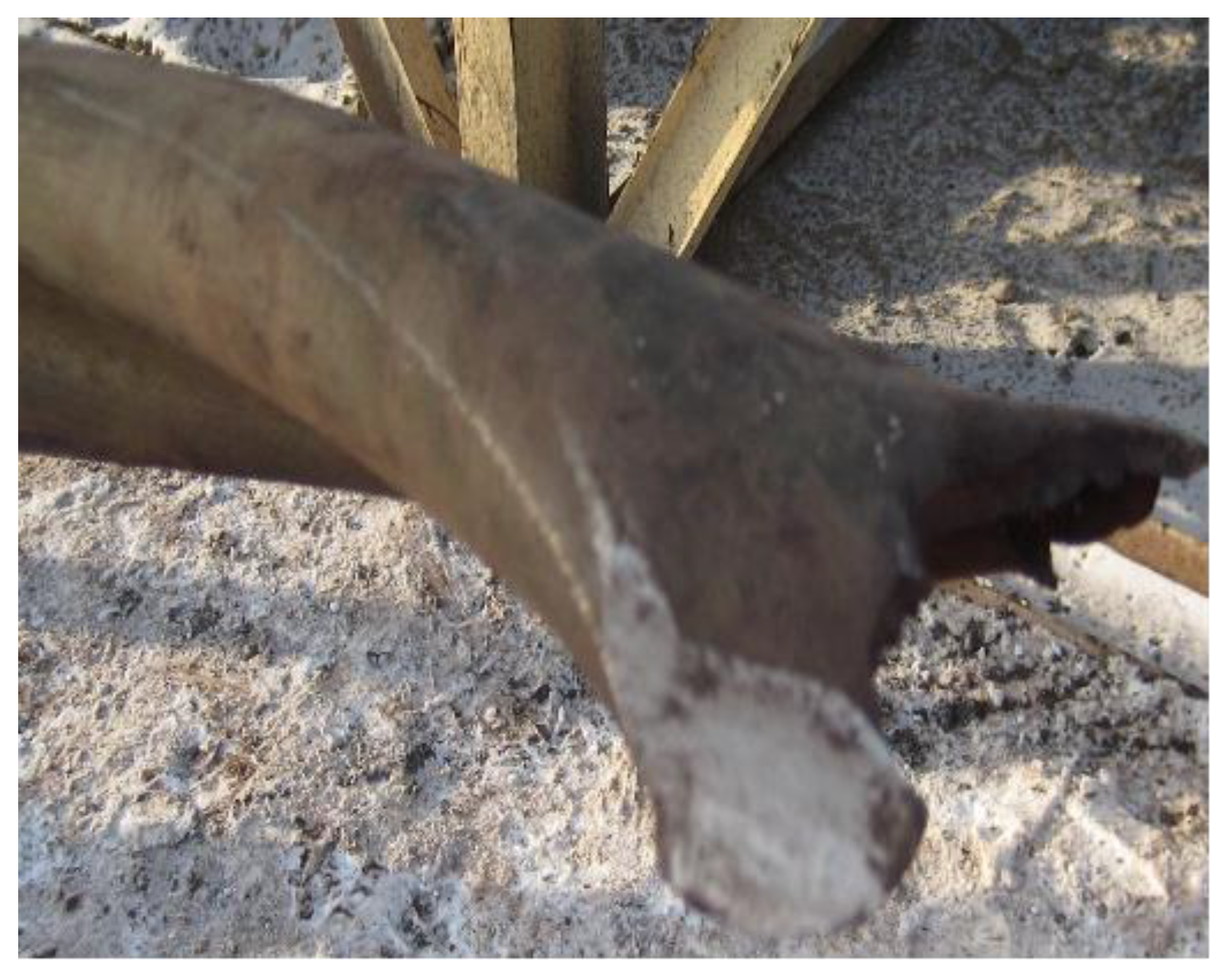 Processes 12 00380 g016