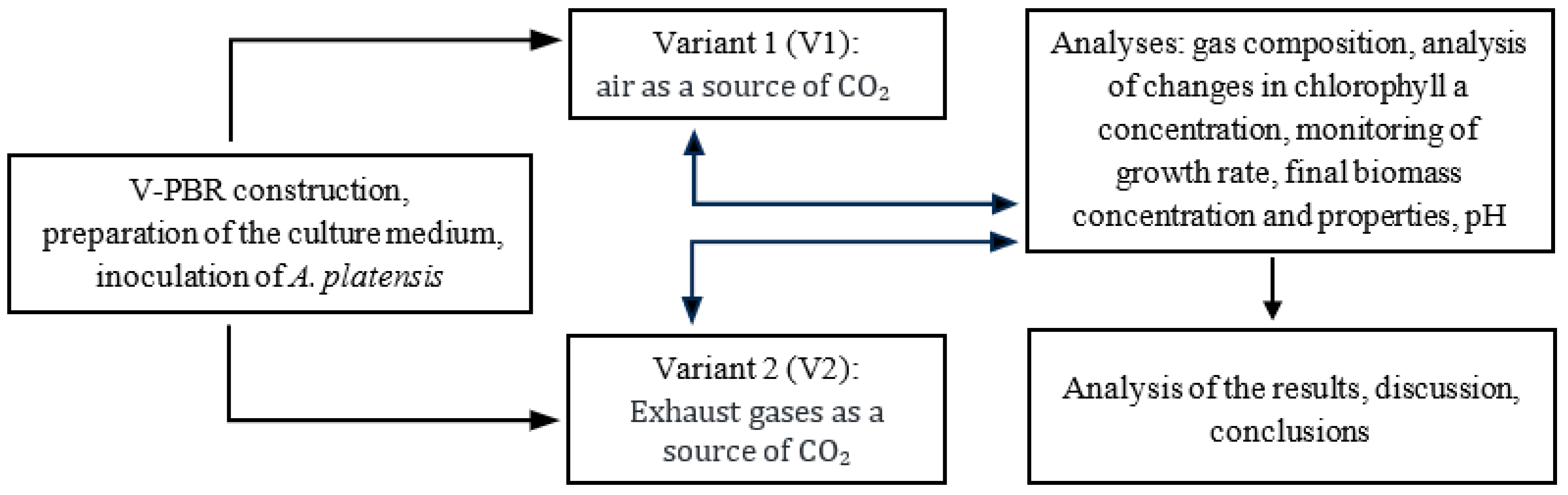 Processes 12 00396 g001