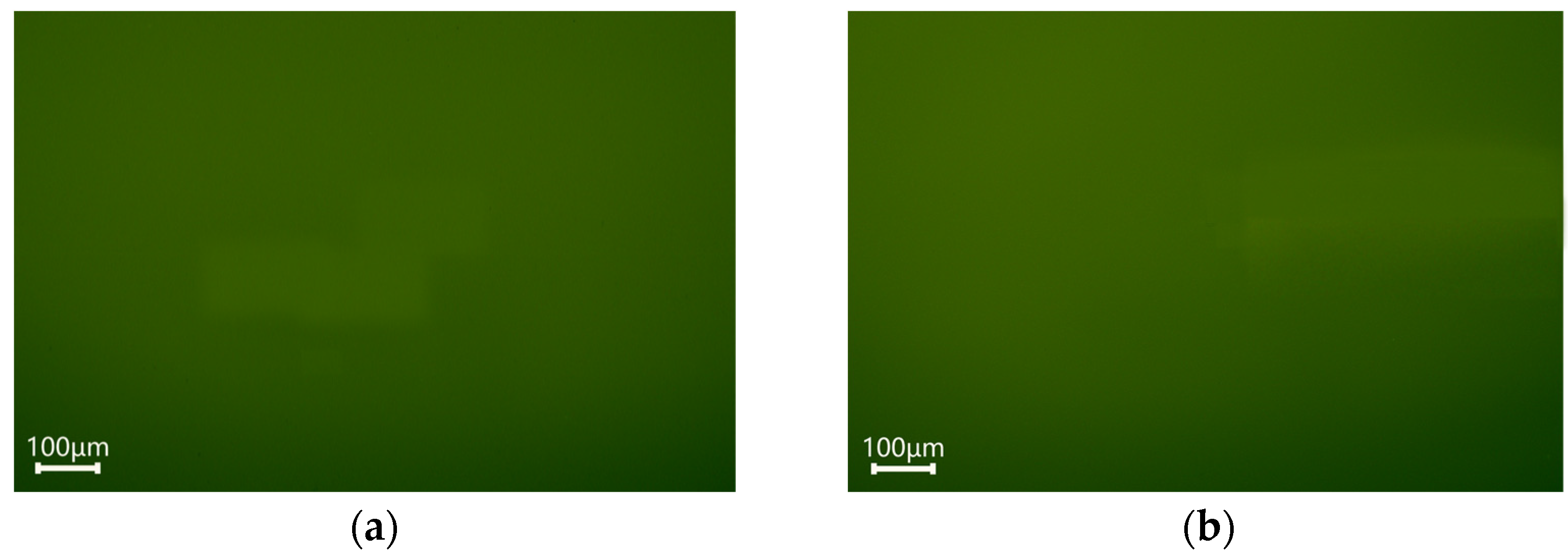 Processes 12 00403 g006a