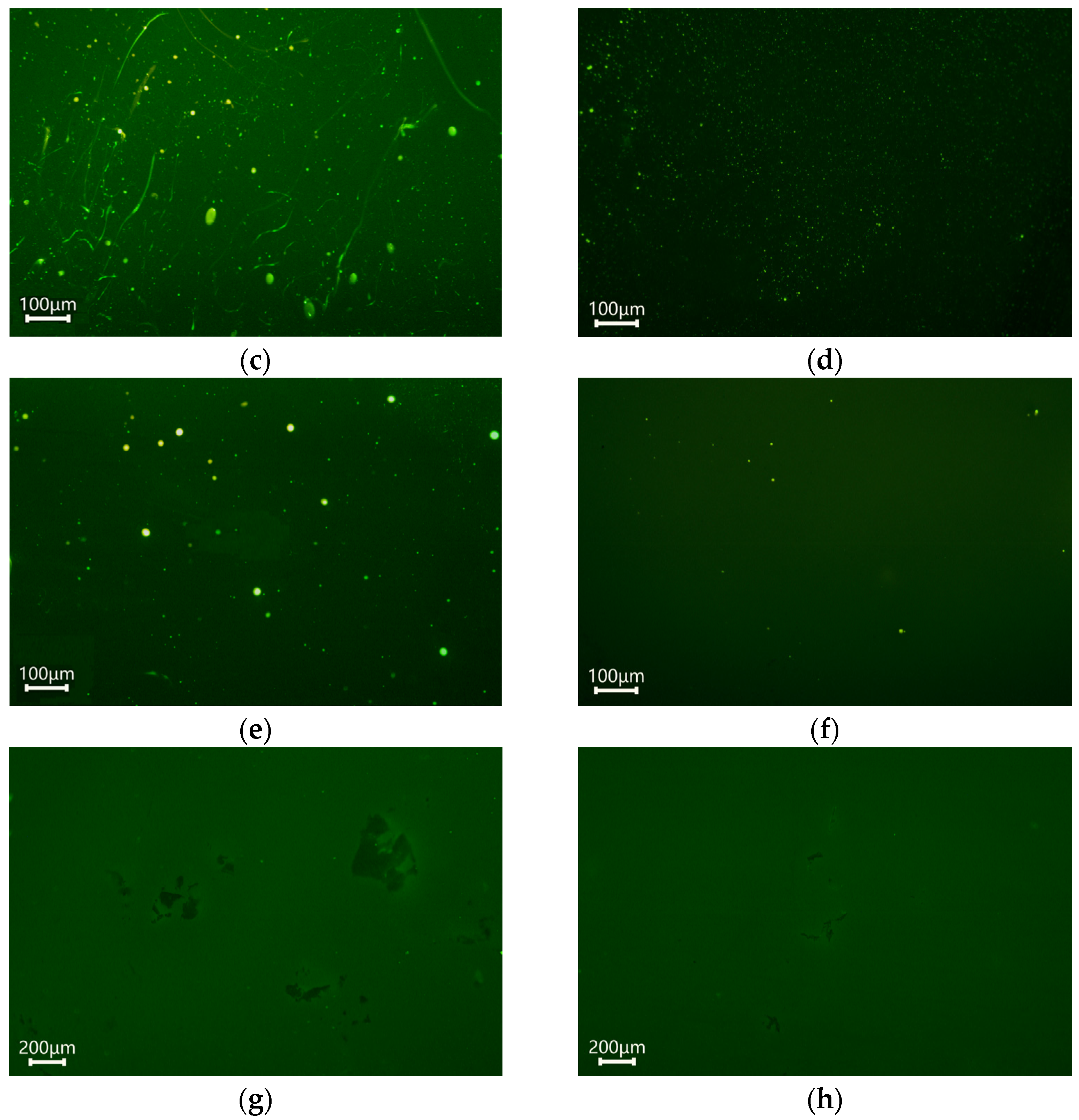 Processes 12 00403 g006b