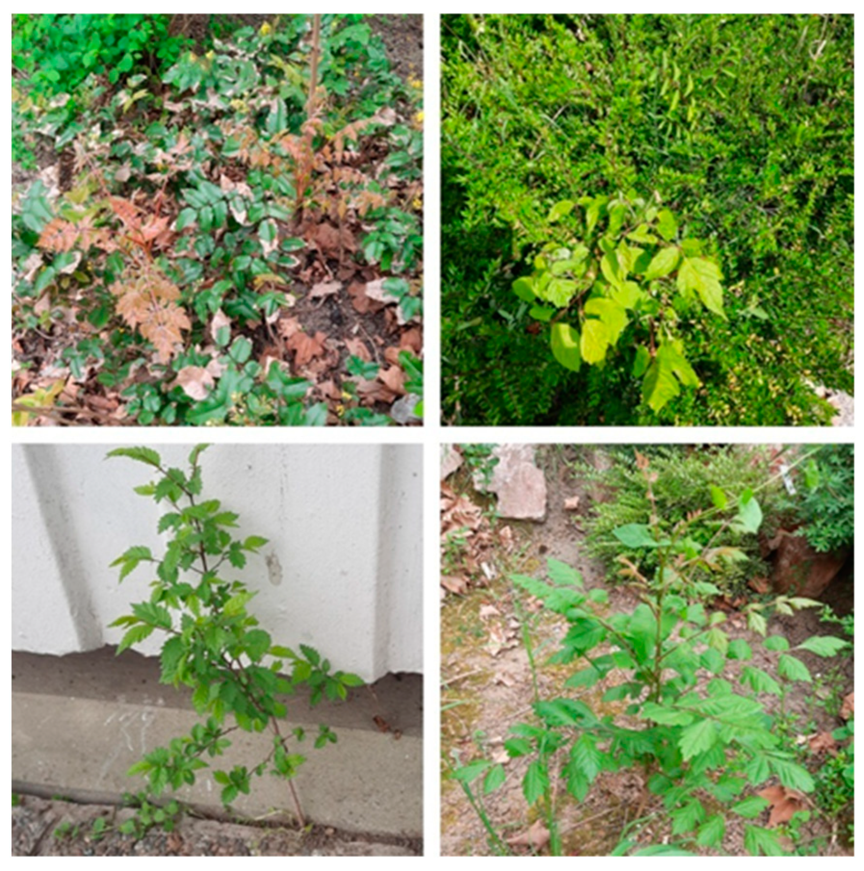 Processes 12 00407 g005 Processes 12 00407 g005