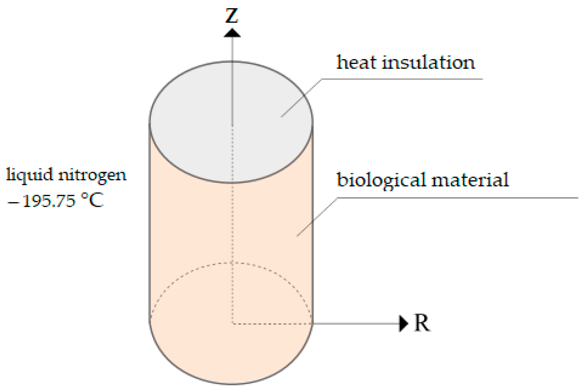 Processes 12 00413 g001