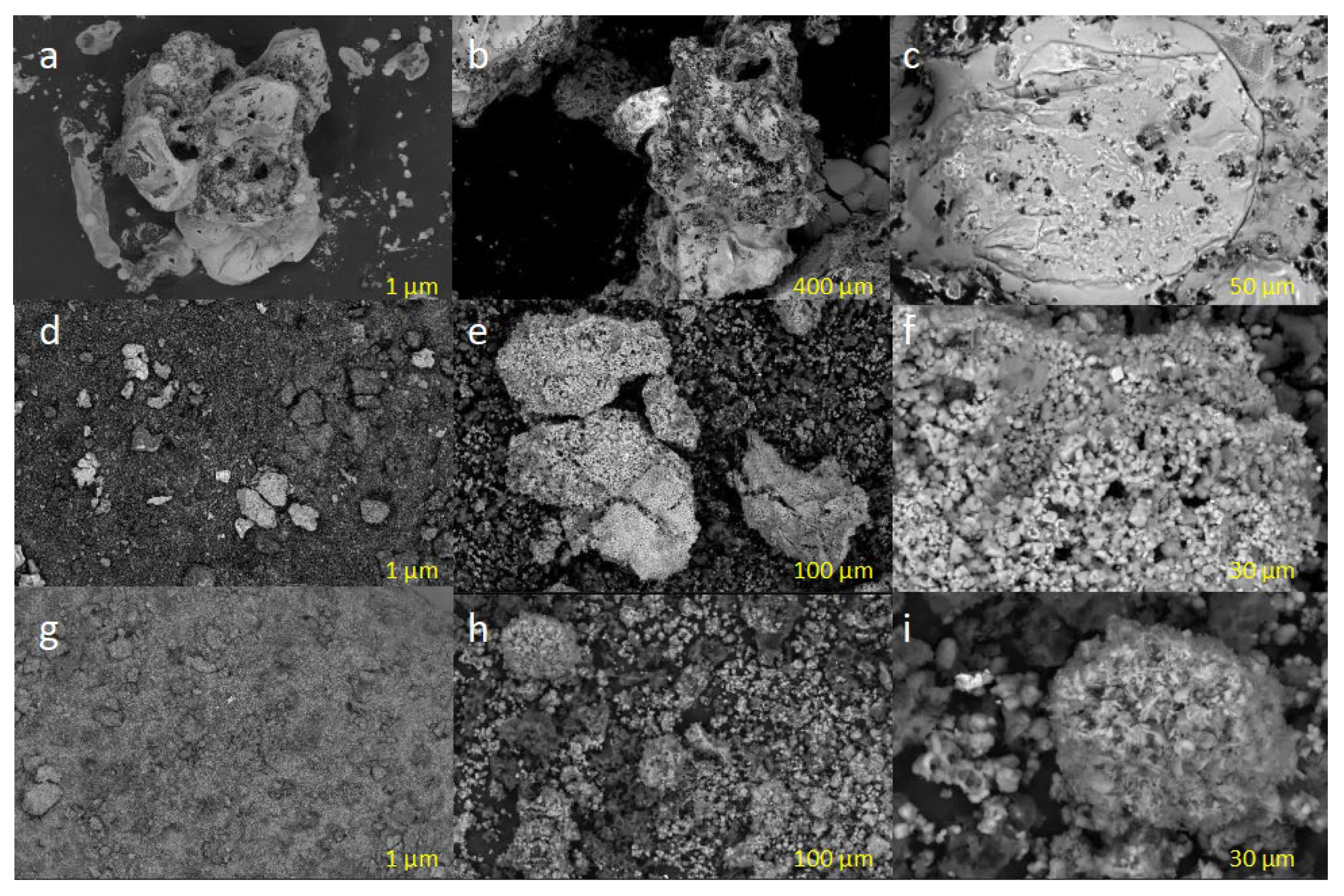 Processes 12 00431 g001