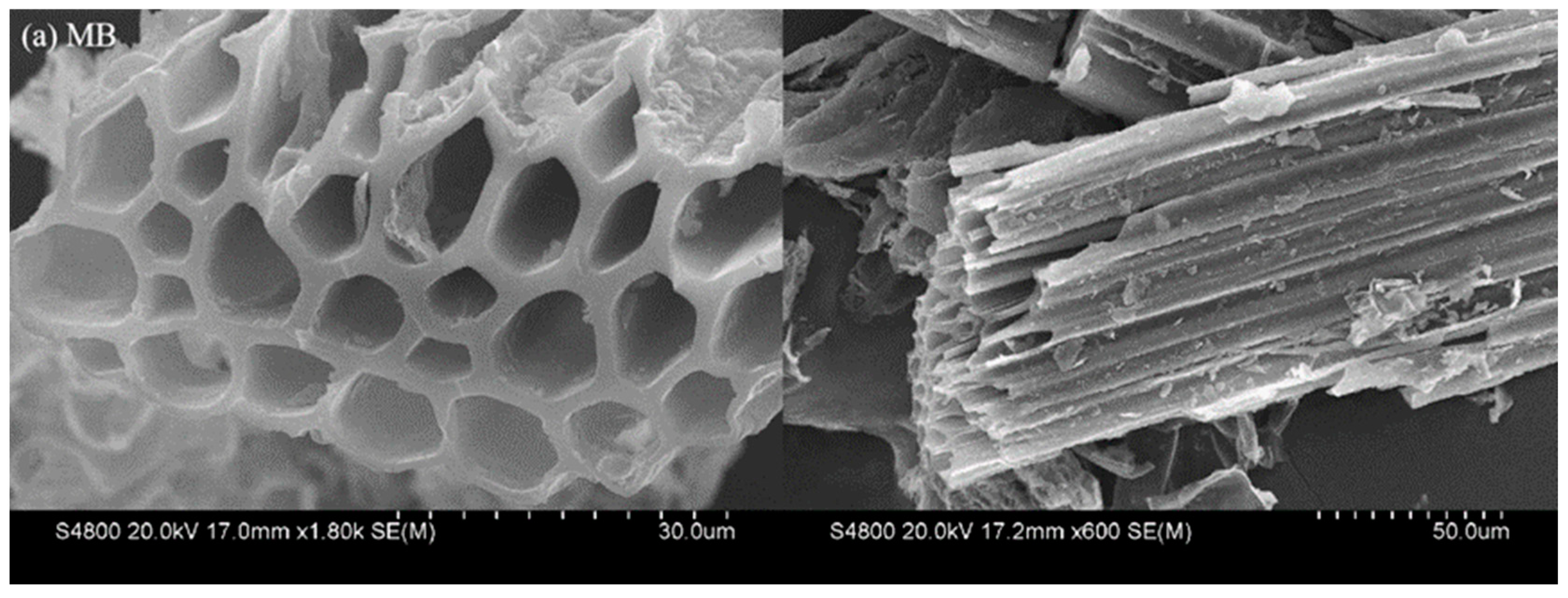Processes 12 00443 g013a