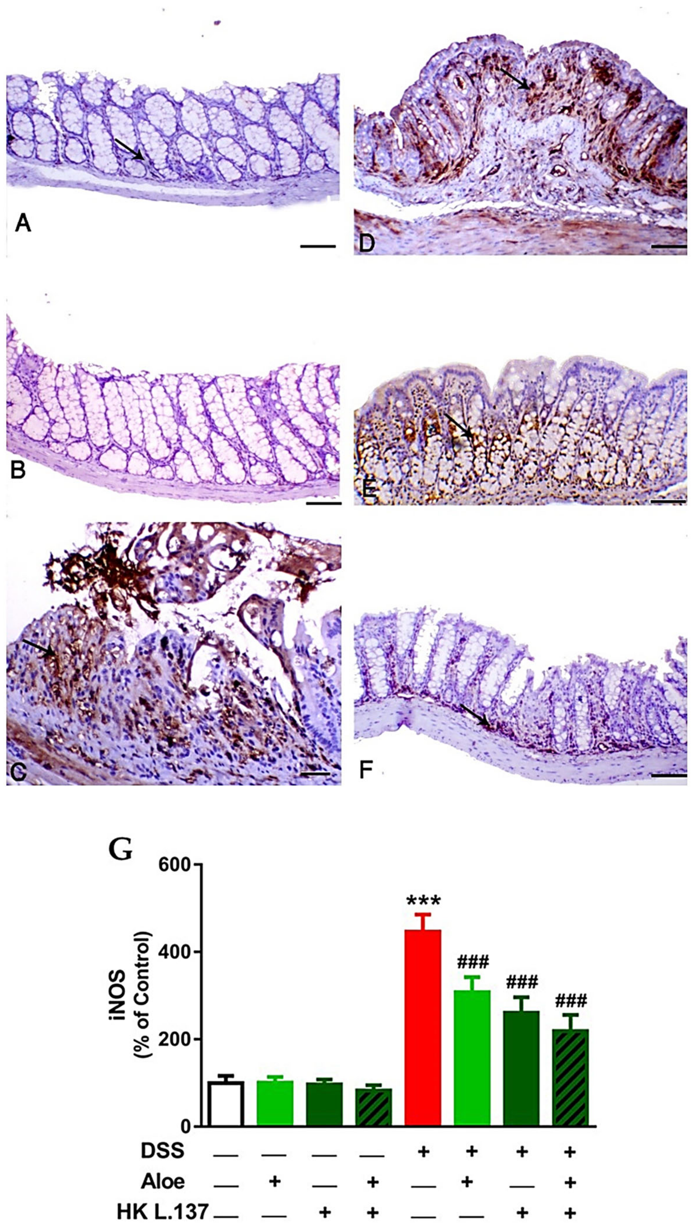 Processes 12 00450 g005