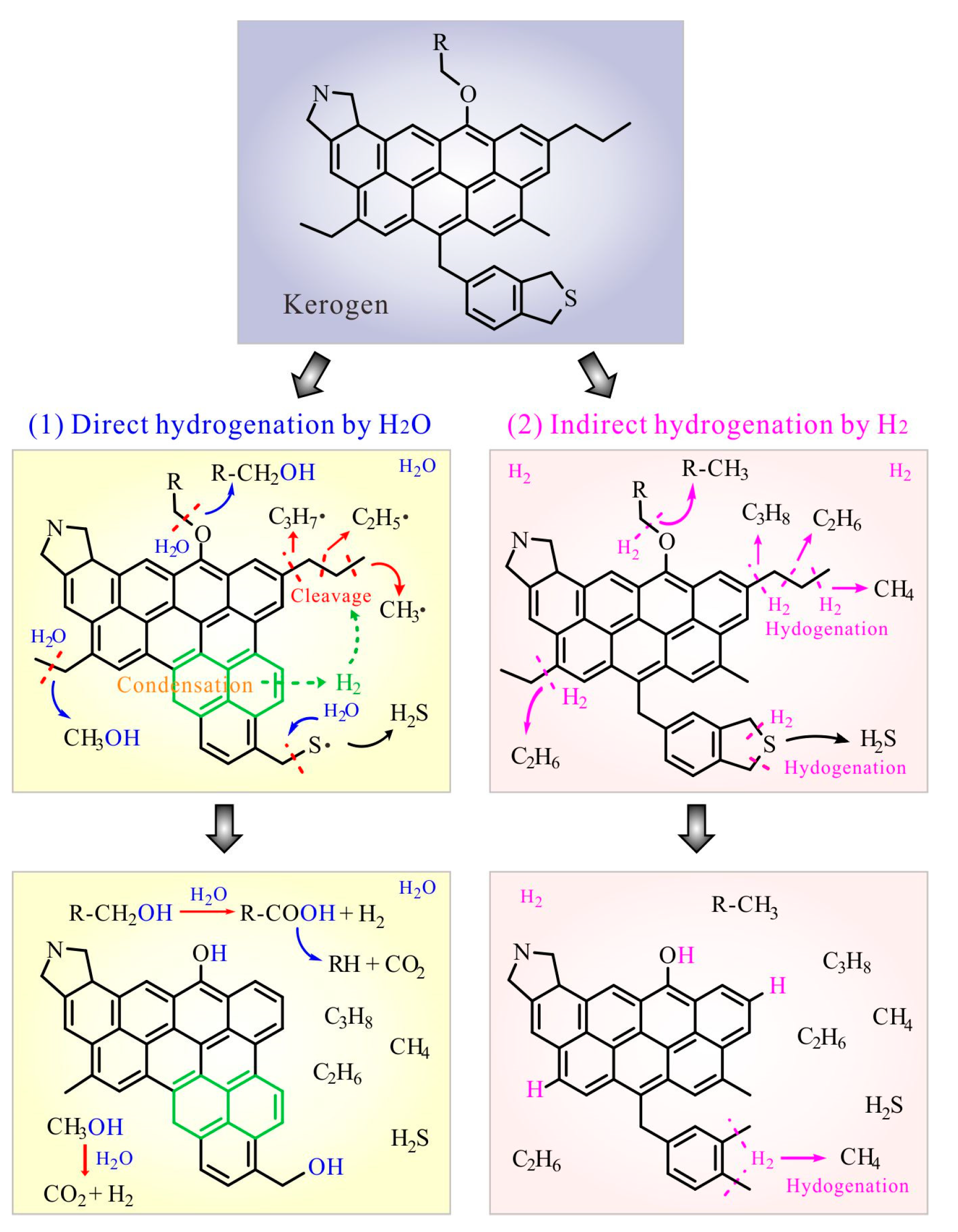 Processes 12 00458 g005
