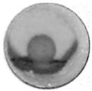 Processes 12 00465 i006