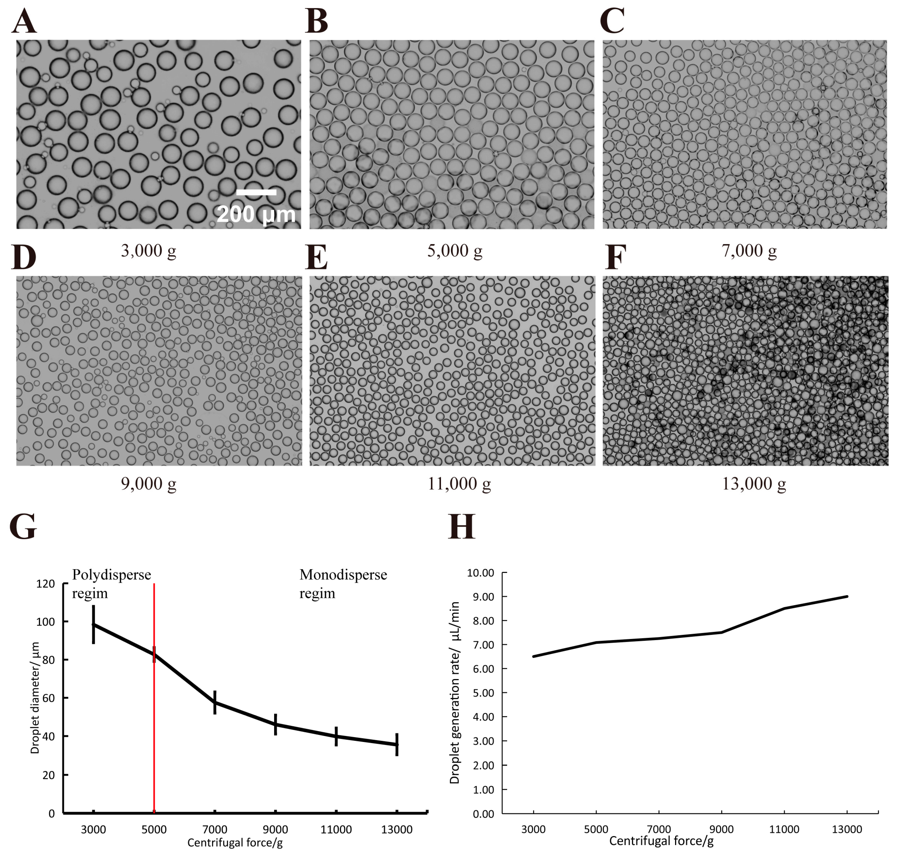 Processes 12 00483 g005