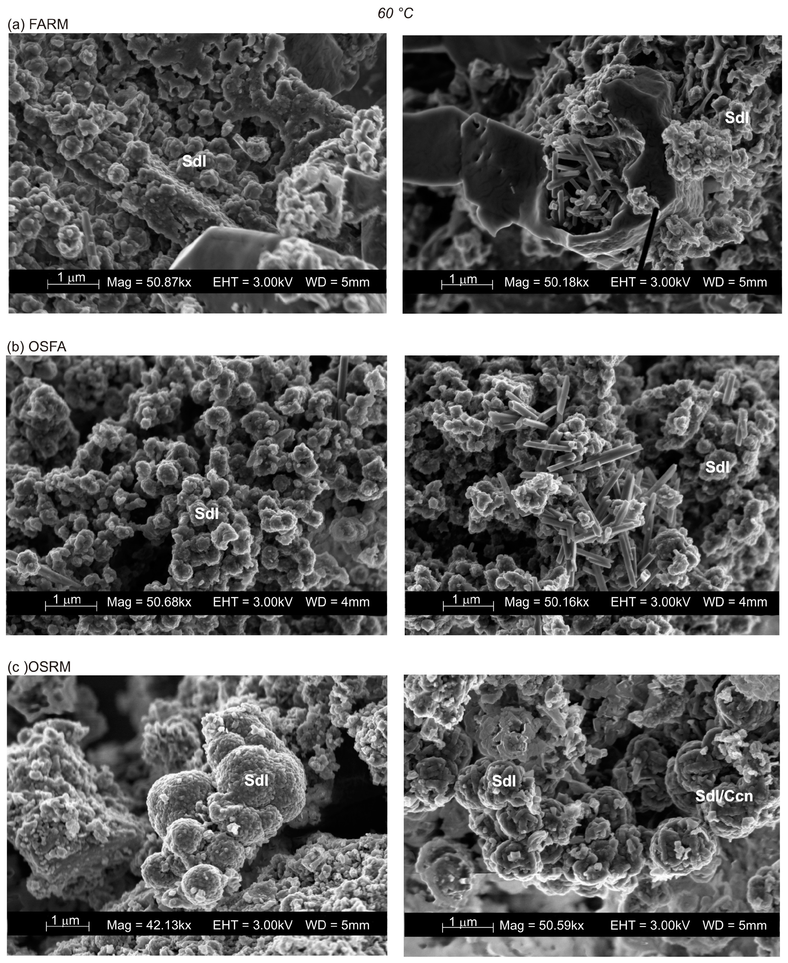 Processes 12 00486 g006