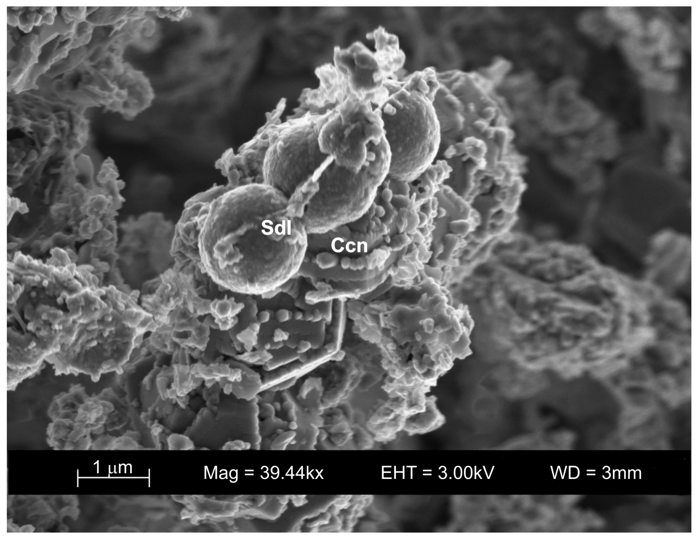 Processes 12 00486 g008