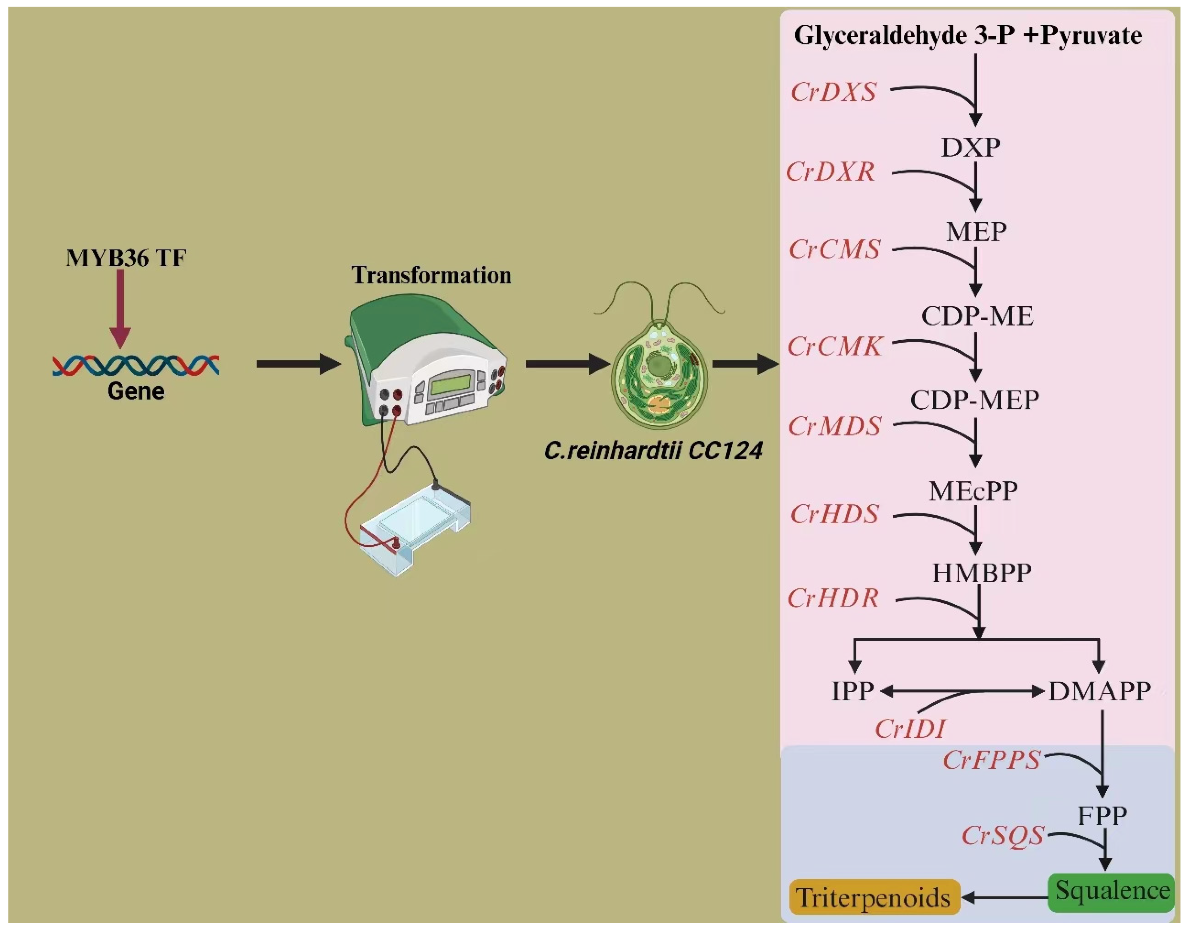 Processes 12 00487 g001