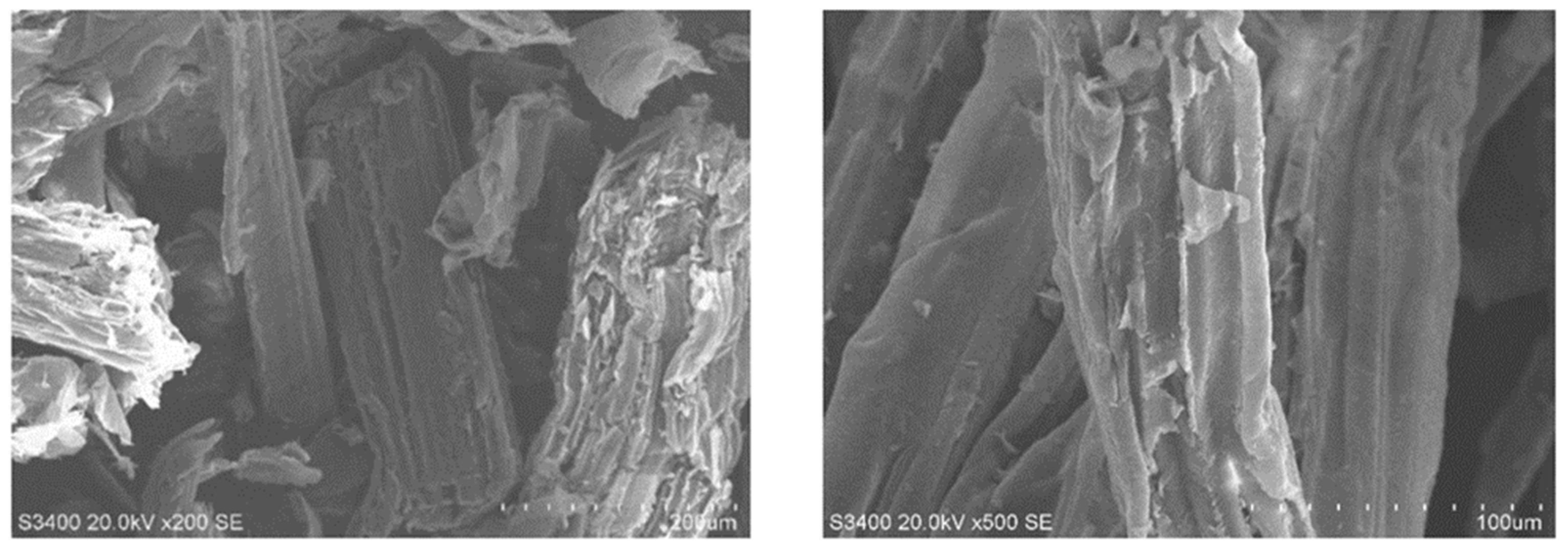 Processes 12 00497 g009