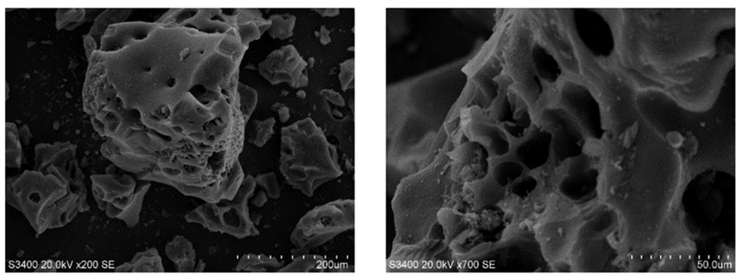 Processes 12 00497 g010