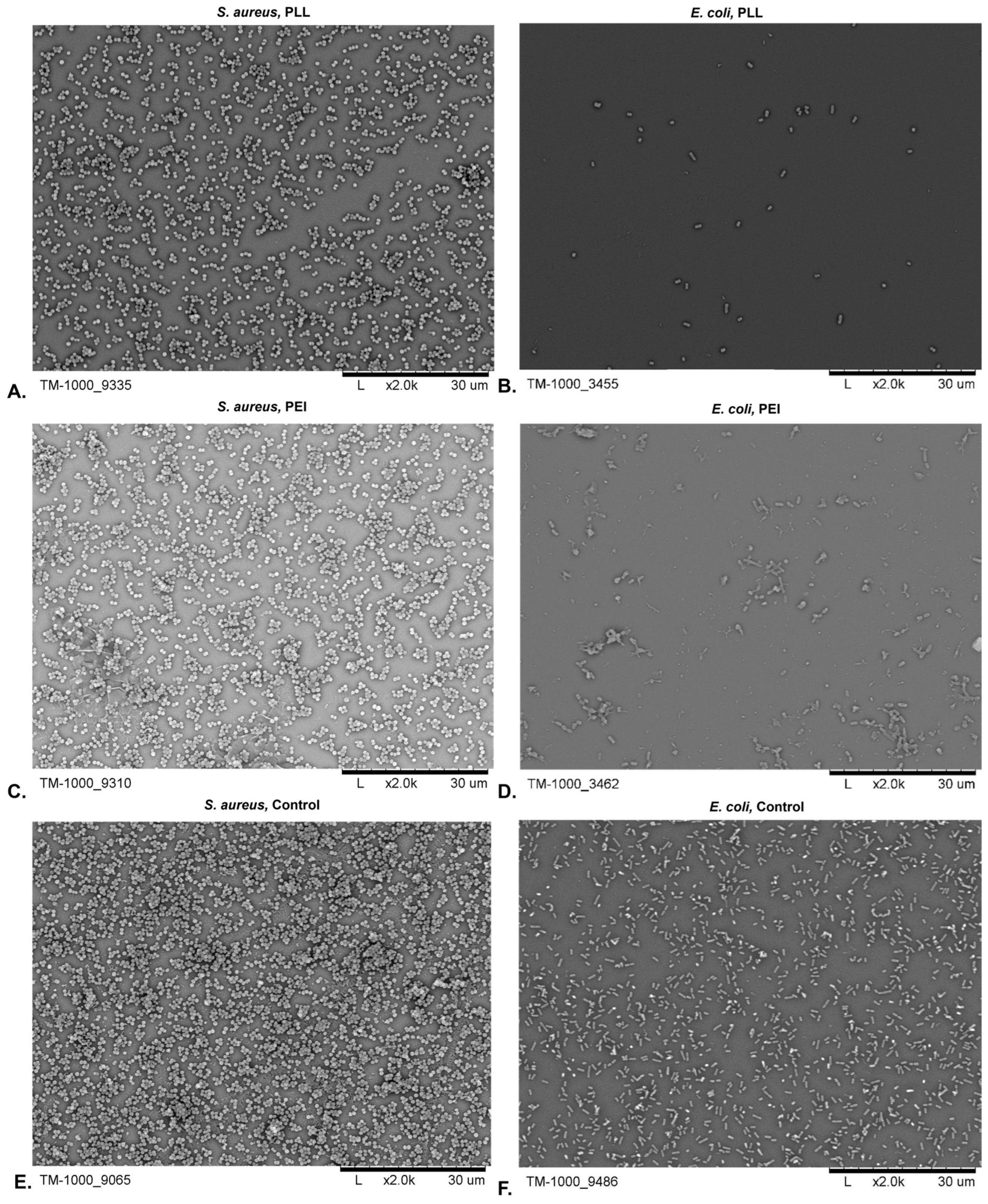 Processes 12 00512 g002