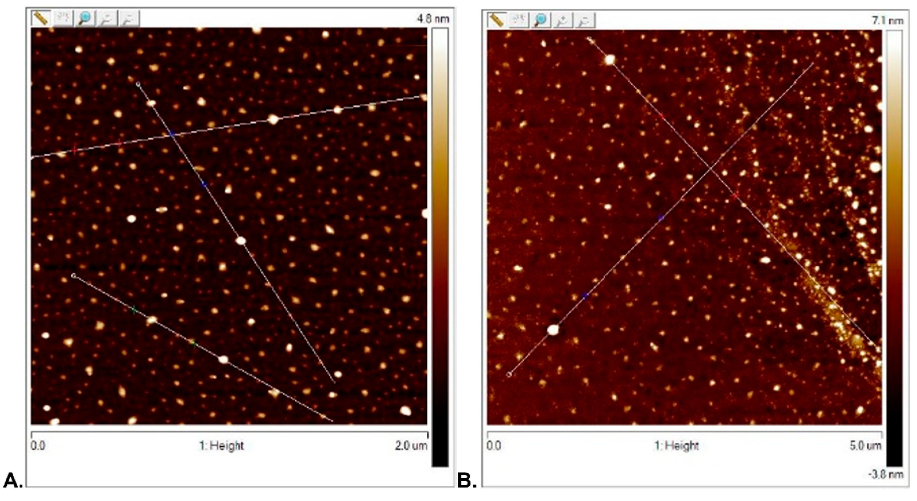 Processes 12 00512 g005